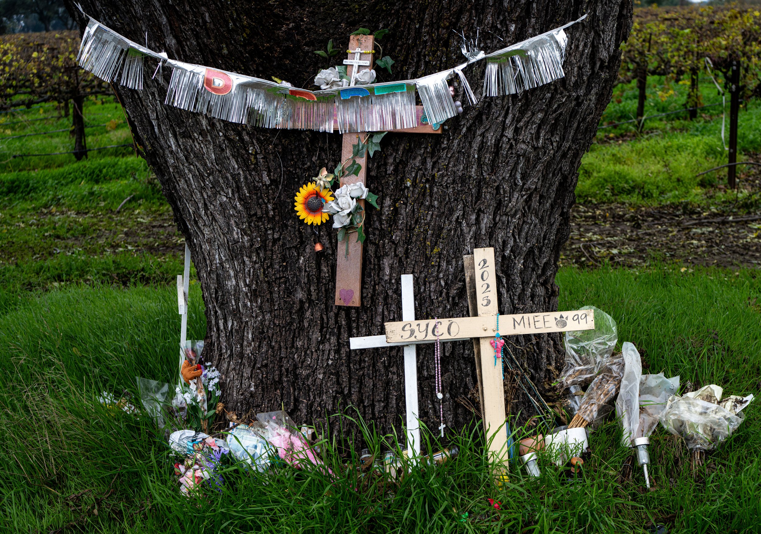 Skyy Richardson (21),  Angela Maldonado (25) and Simon Onesavanah (37).  Car Accident (2025) - Hwy 88 - San Joaquin County 