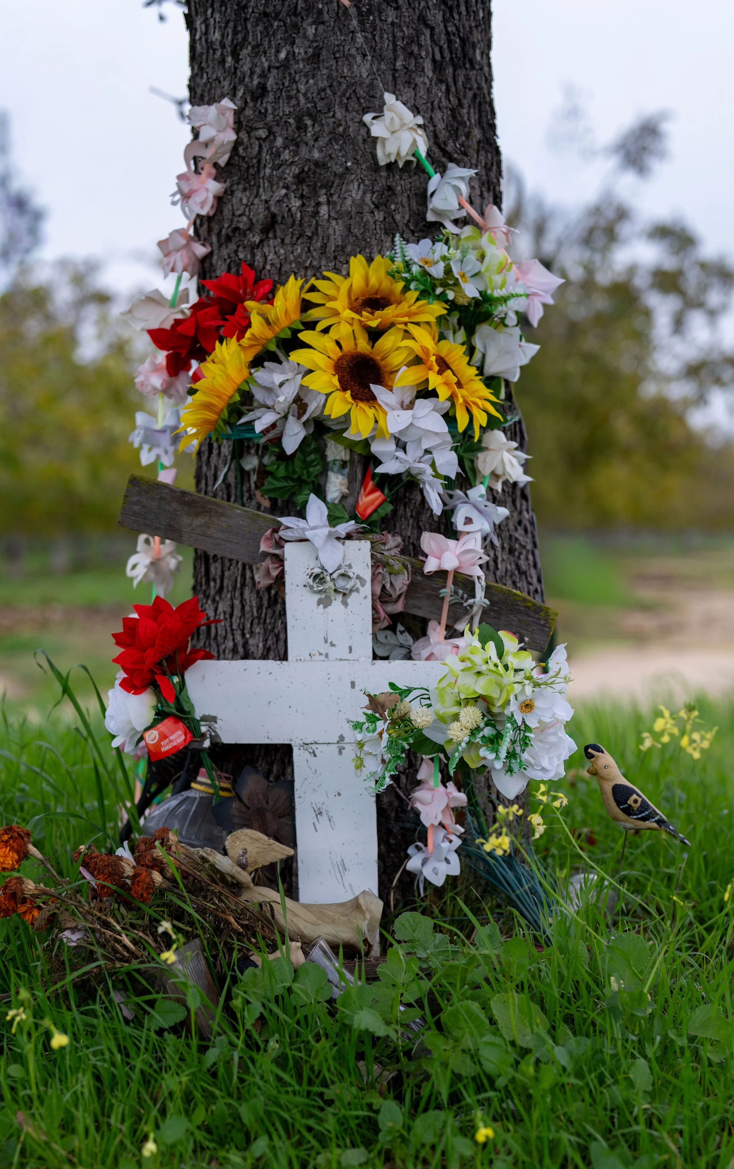 Unknown - Auto Accident - Hwy 88 - San Joaquin County