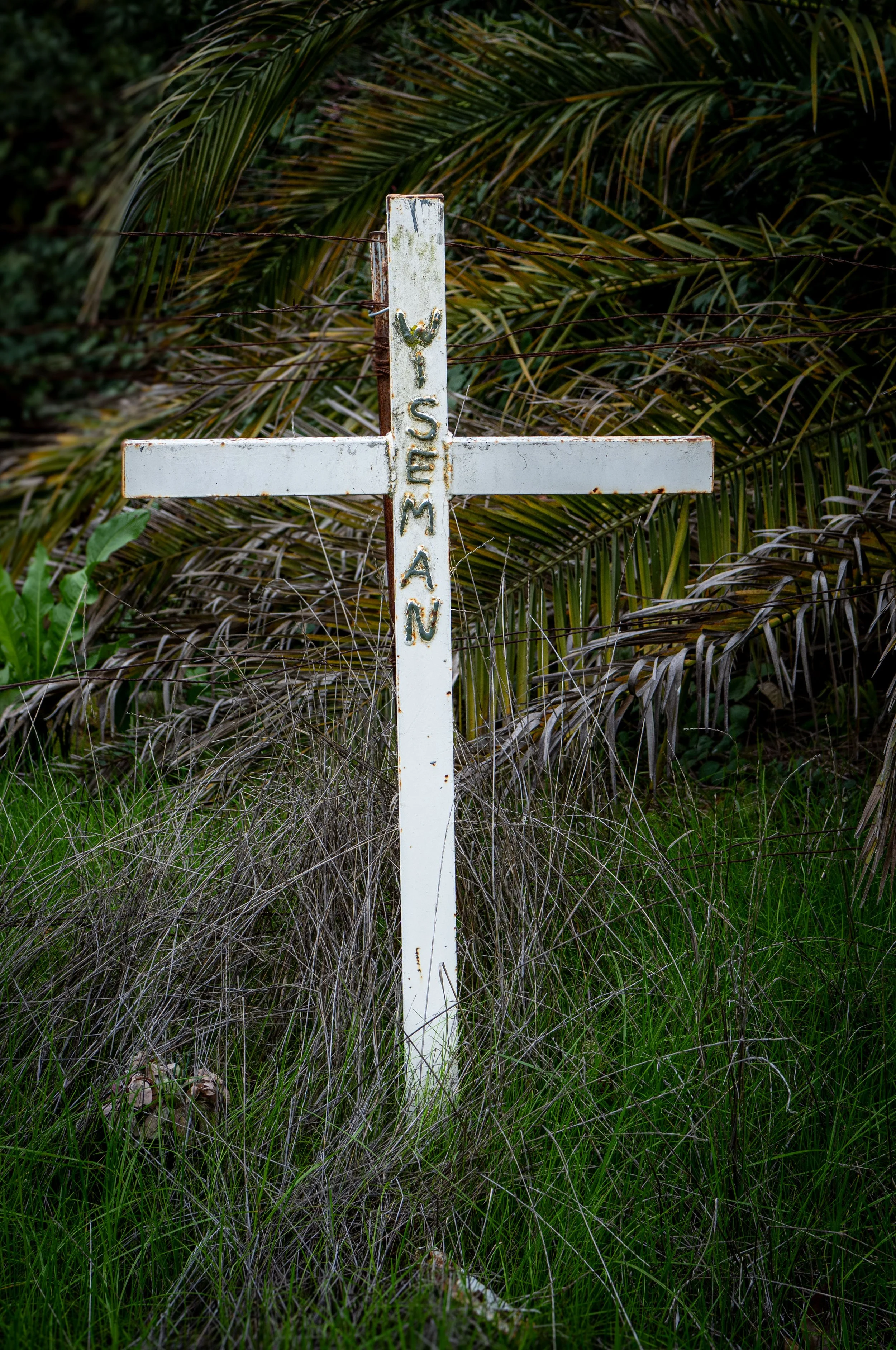 Wiseman - Franklin Blvd - Sacramento County