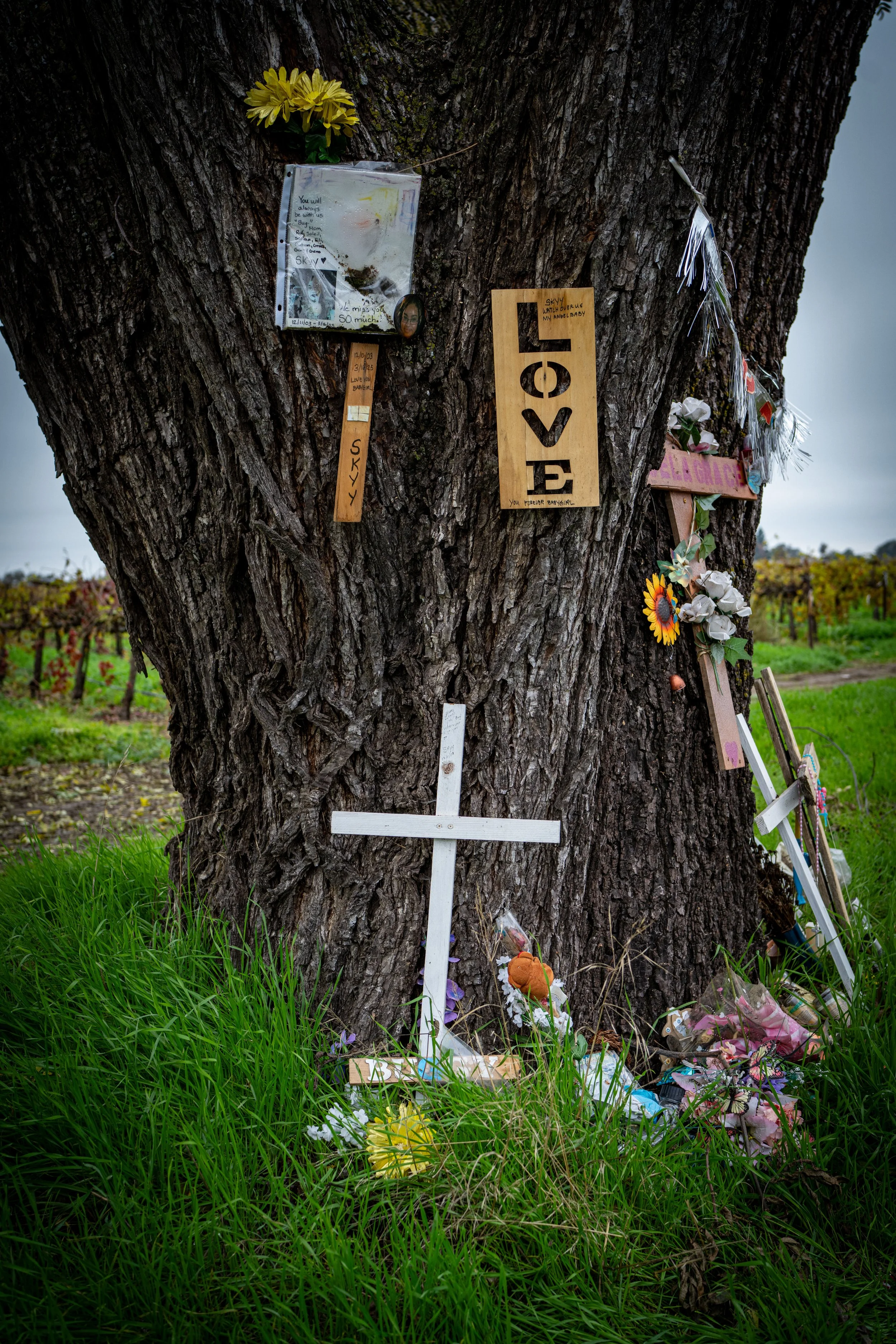 Skyy Richardson (21) - Auto Accident (2025) - Hwy 88 - San Joaquin County   Accident also killed Angela Maldonado (25) and Simon Onesavanah (37). 
