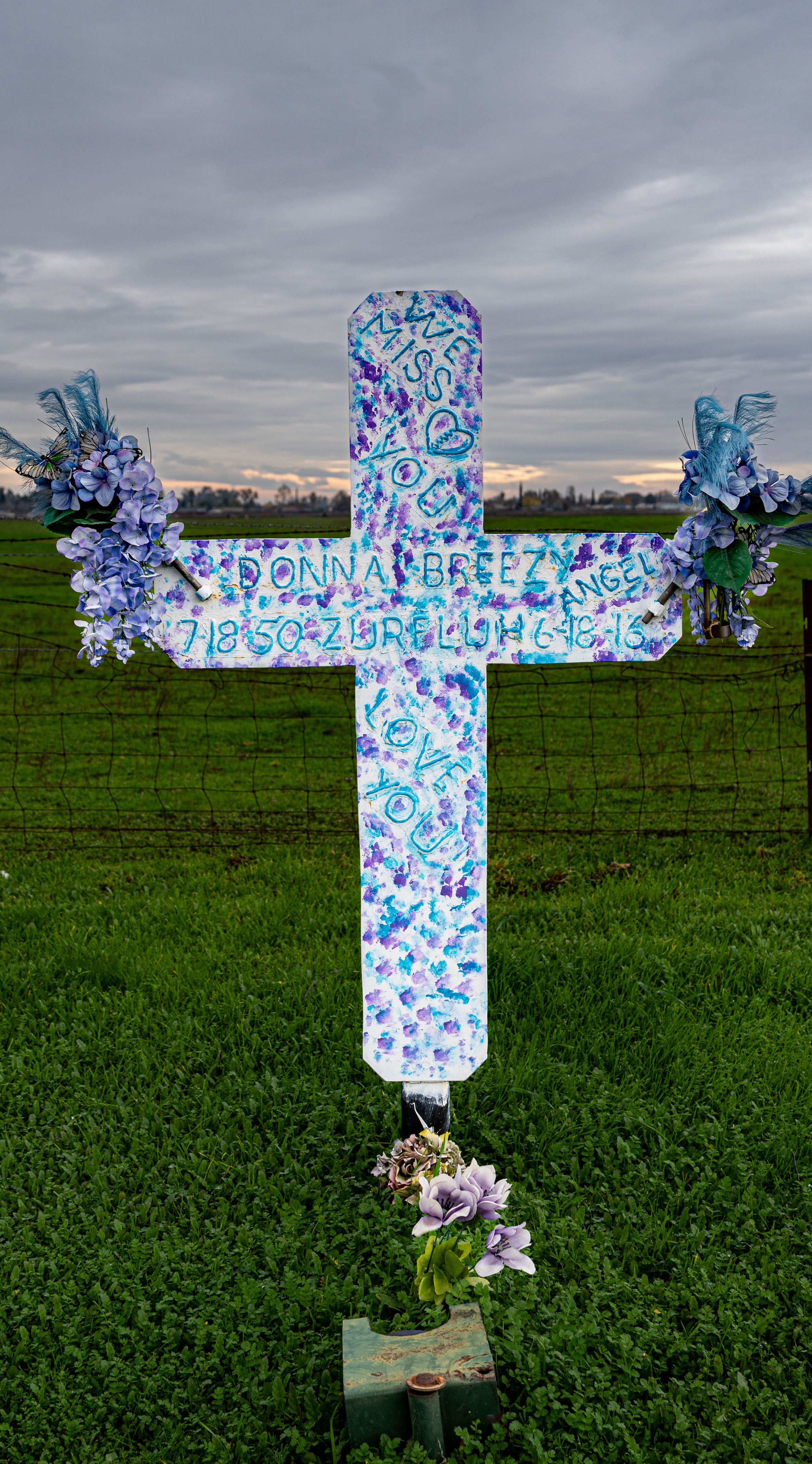 Donna “Breezy” Zurfluh (66) - Hit and Run (2016) - Elverta Rd, Elverta, CA.