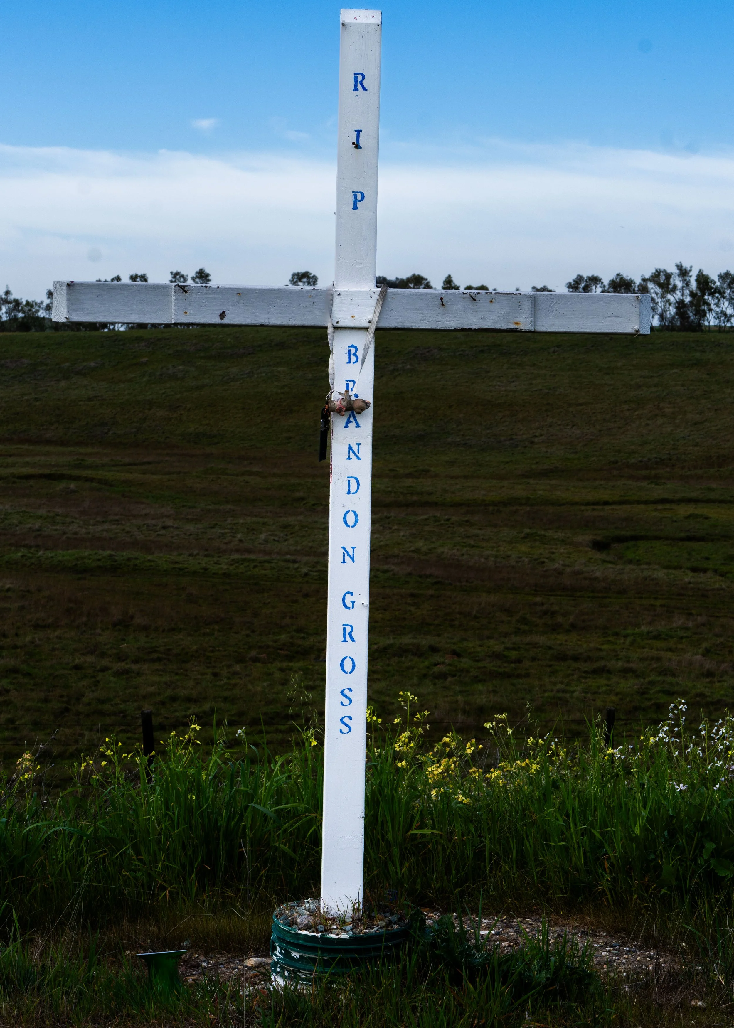 Brandon Gross, 20 - Ione Road, Sacramento County.