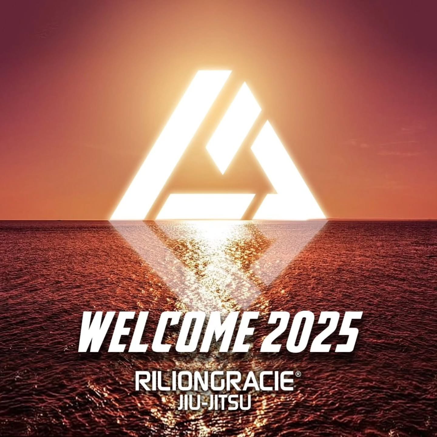 Benvenuto 2025 !! 

#Jiu-Jitsu #bjj #mma #difesapersonale