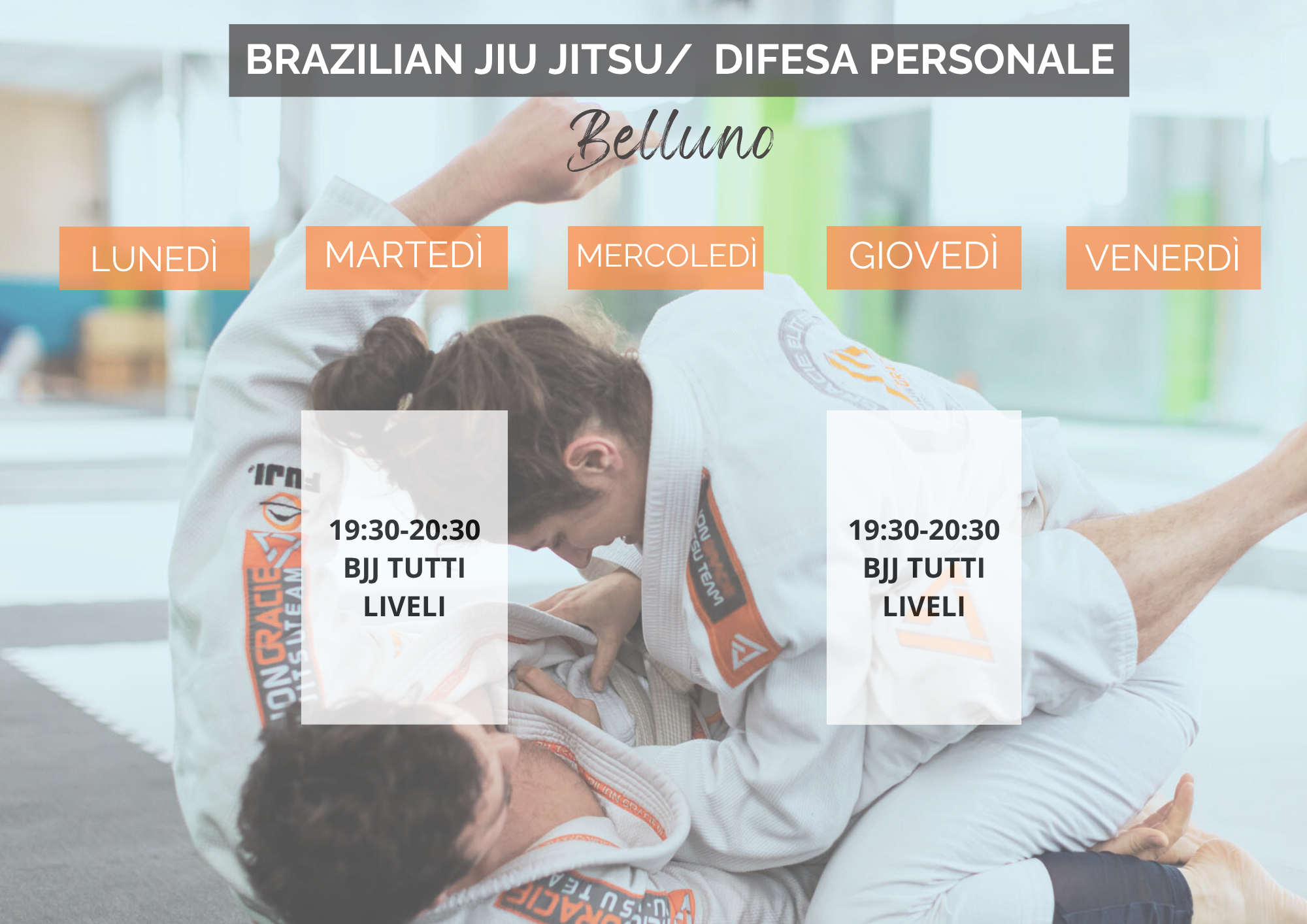 B BJJ.png