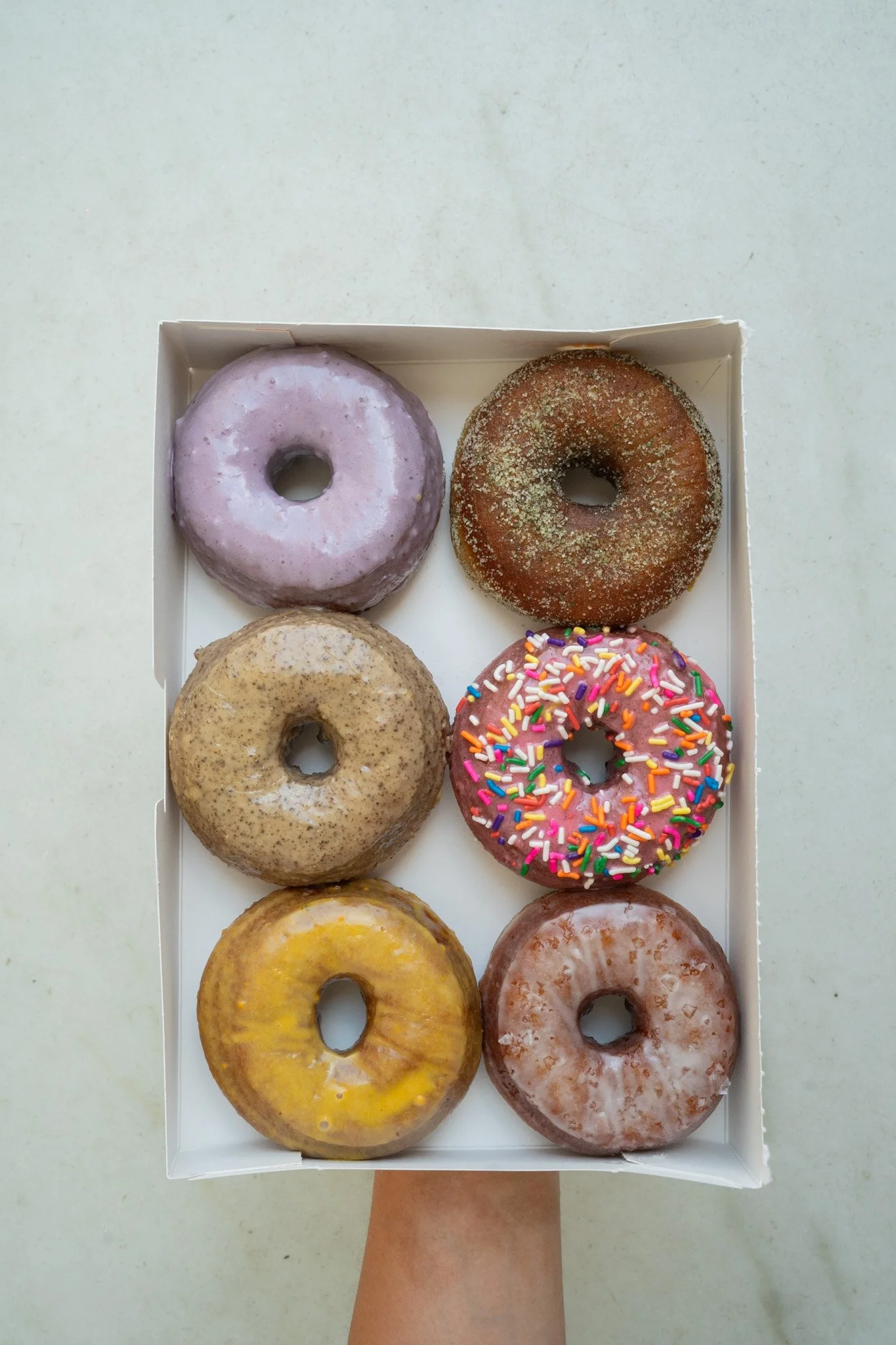 DOUGHNUT