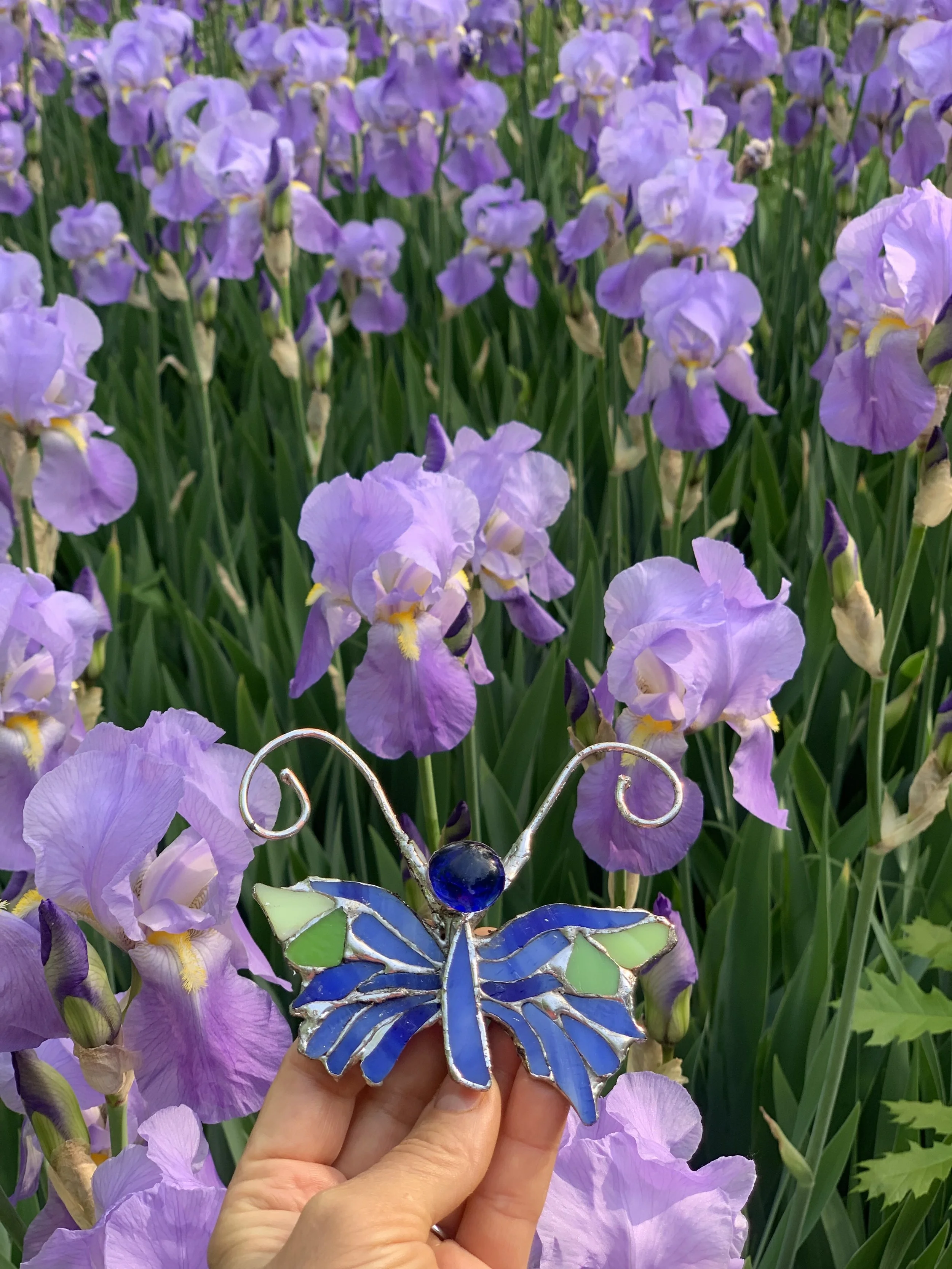 A person holding a decorative butterfly stained glass ornament with blue, green, and black accents in front of a field of purple irises.