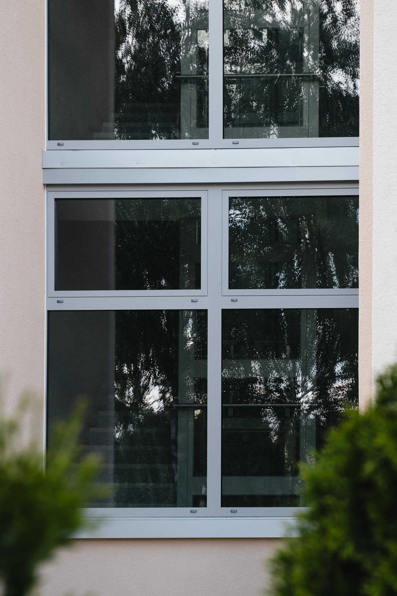 DSCF7053.jpg