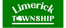 Limerick Community Day