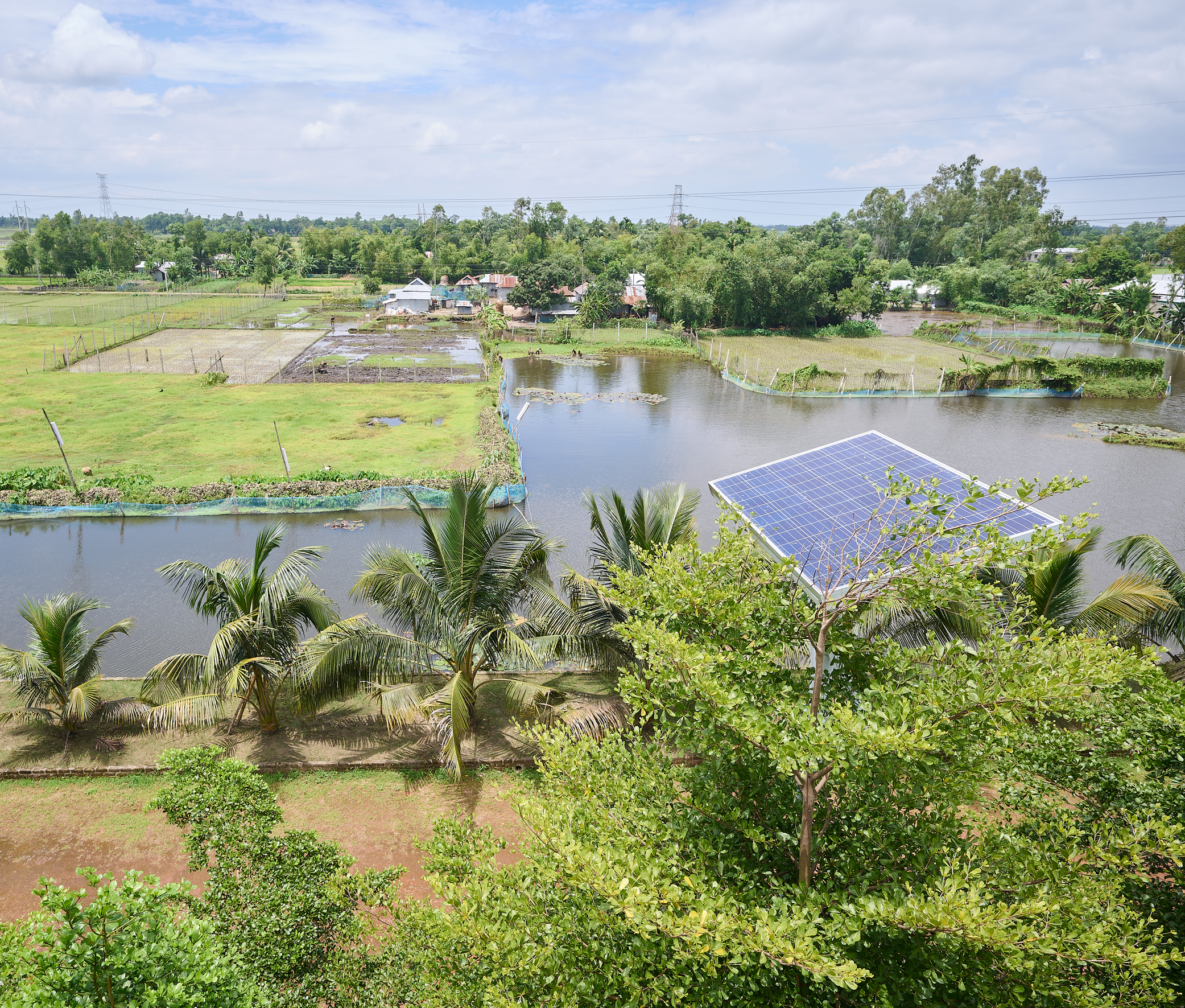 Scenic view of a rural area with water bodies, green fields, palm trees, and solar panels under a partly cloudy sky.