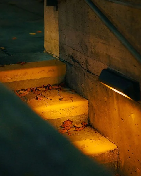 Close-up of outdoor concrete stairs at night, illuminated by a wall-mounted light, with fallen leaves on the steps.