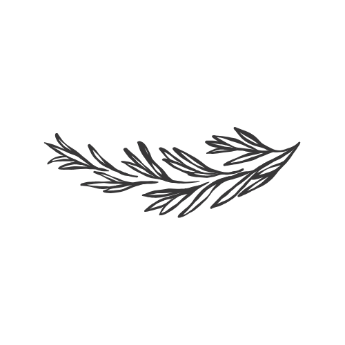 black and white illustration of a leafy branch