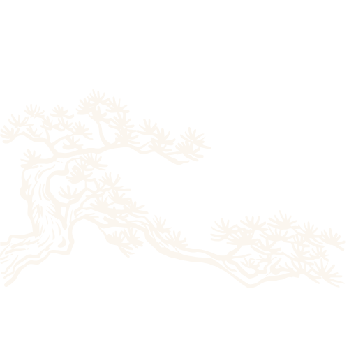 Illustration of a stylized bonsai tree with intricate branches against a transparent background.