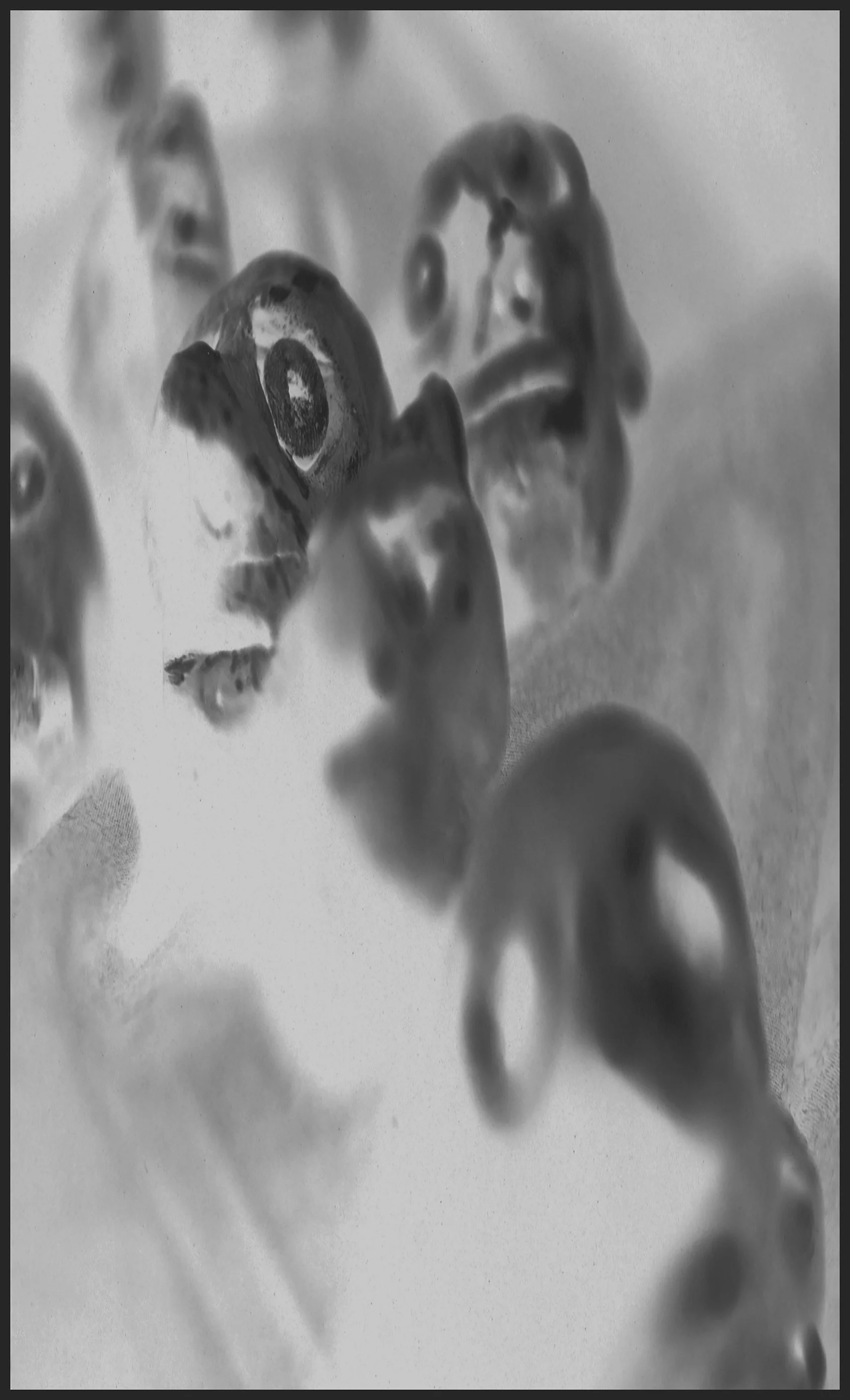 HeadTest27:5:2501ed.jpg