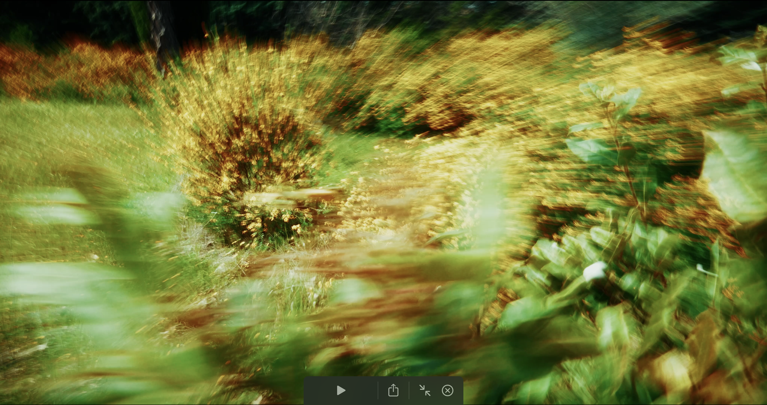 Flowers VFX (File 16) 4k 25 F/S