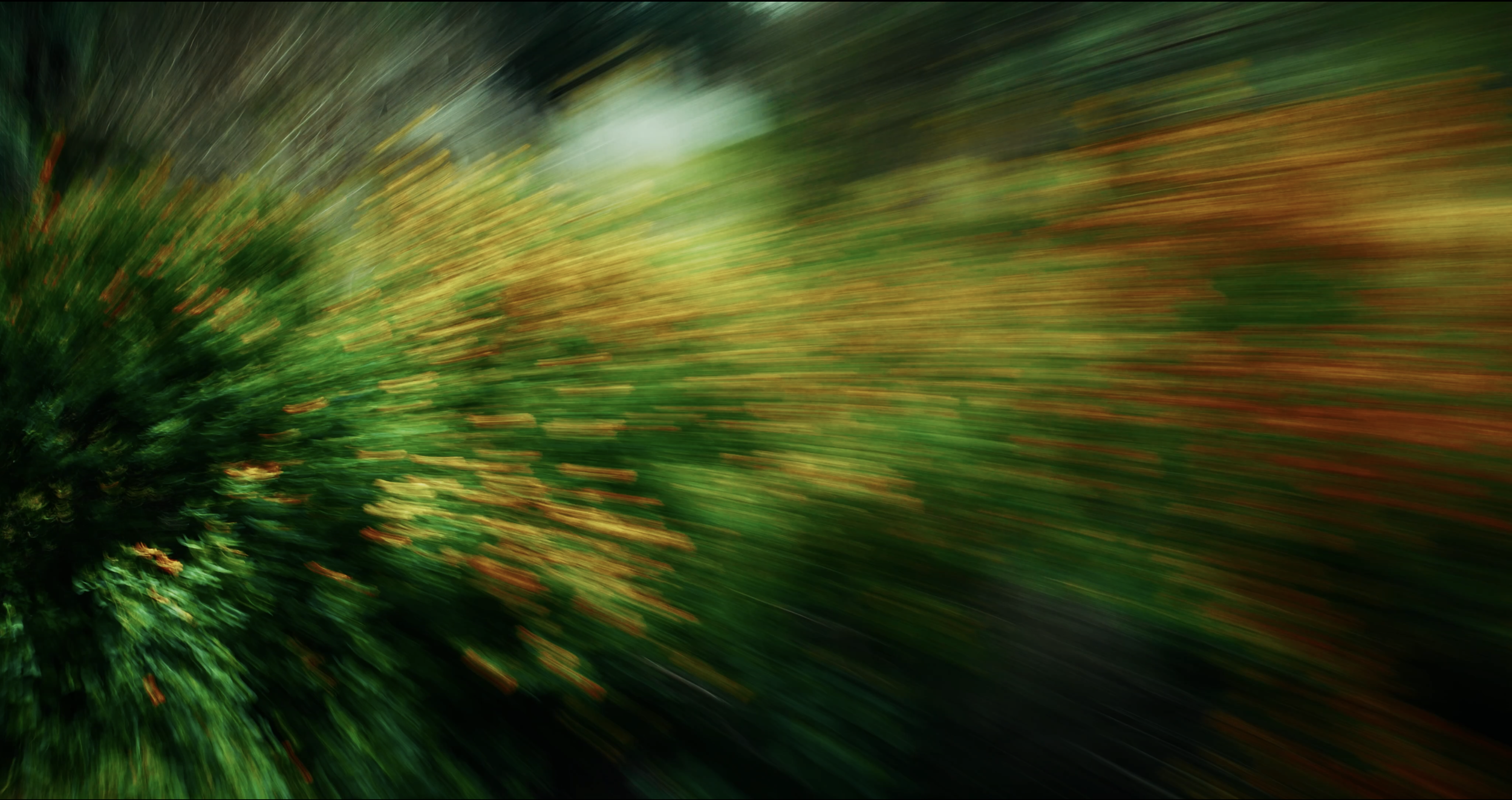 Flowers VFX (File 14) 4k 25 F/S
