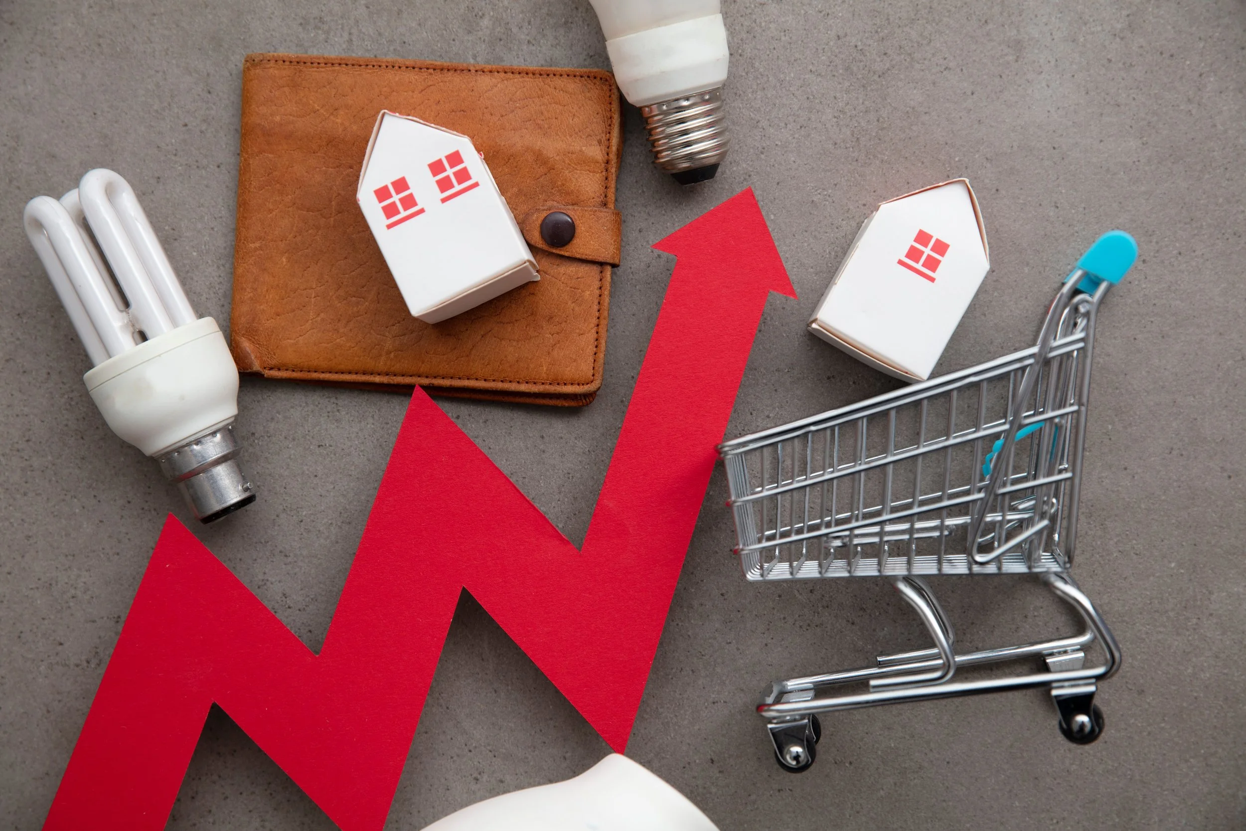 Economic Outlook: Balancing Capital Structure Adjustments, Inflation Headwinds, and Modern Operational Plays