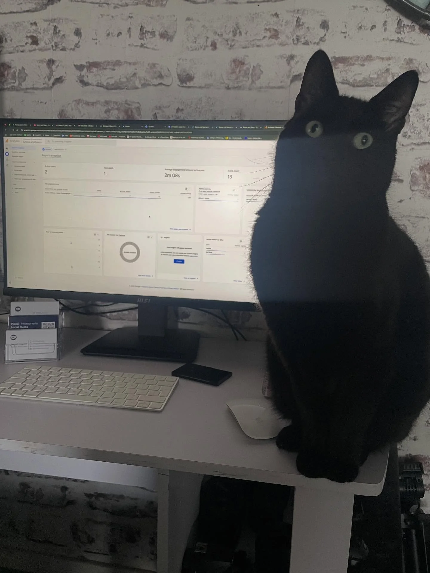 Must be feeding time. 
#Google #googleanalytics #london #photographer #design #Video #videography #website #strategy #cat