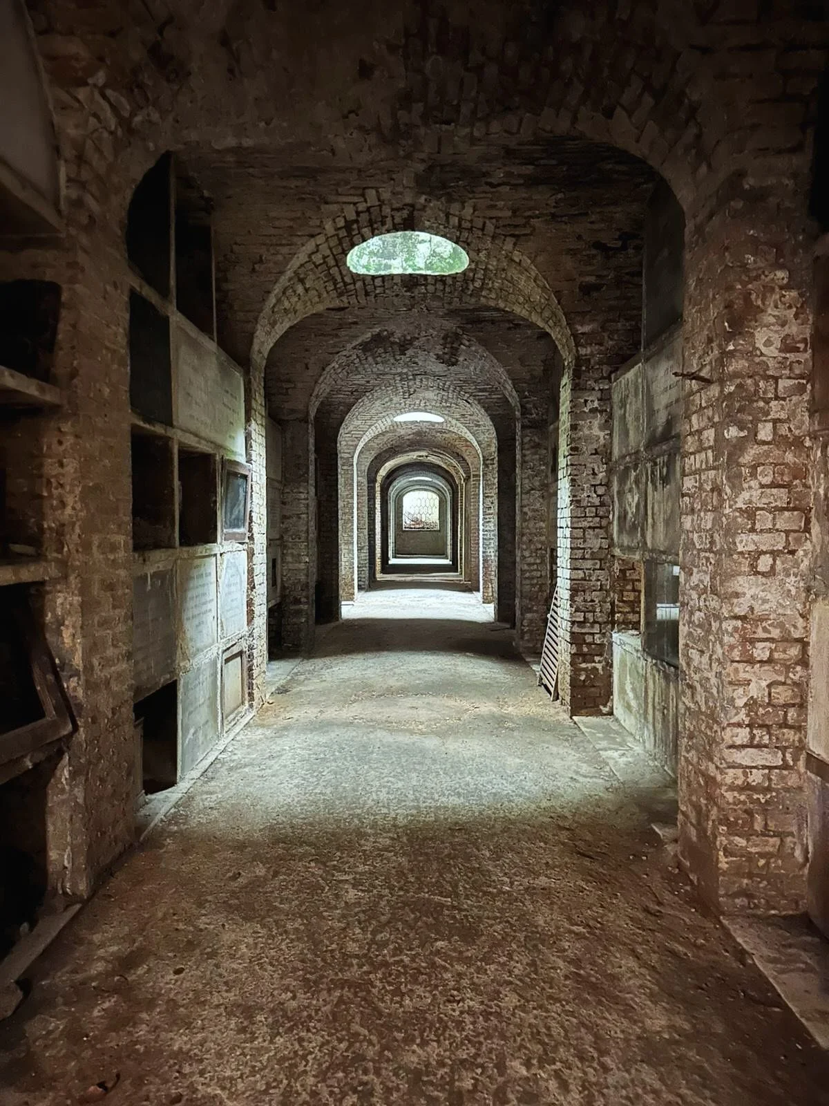 Lovely visit to Highgate Cemetery this weekend. Stunning place. I will film here one day.

#highgatecemetery #highgate #cemeteriesofinstagram #cemetary #london #grave #camden #filming #video