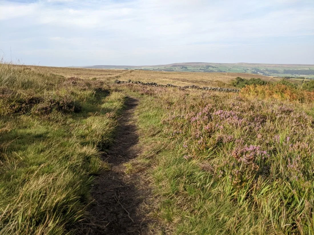 Photo of Yorkshire moorland with heather in the foreground and hills in the distance.