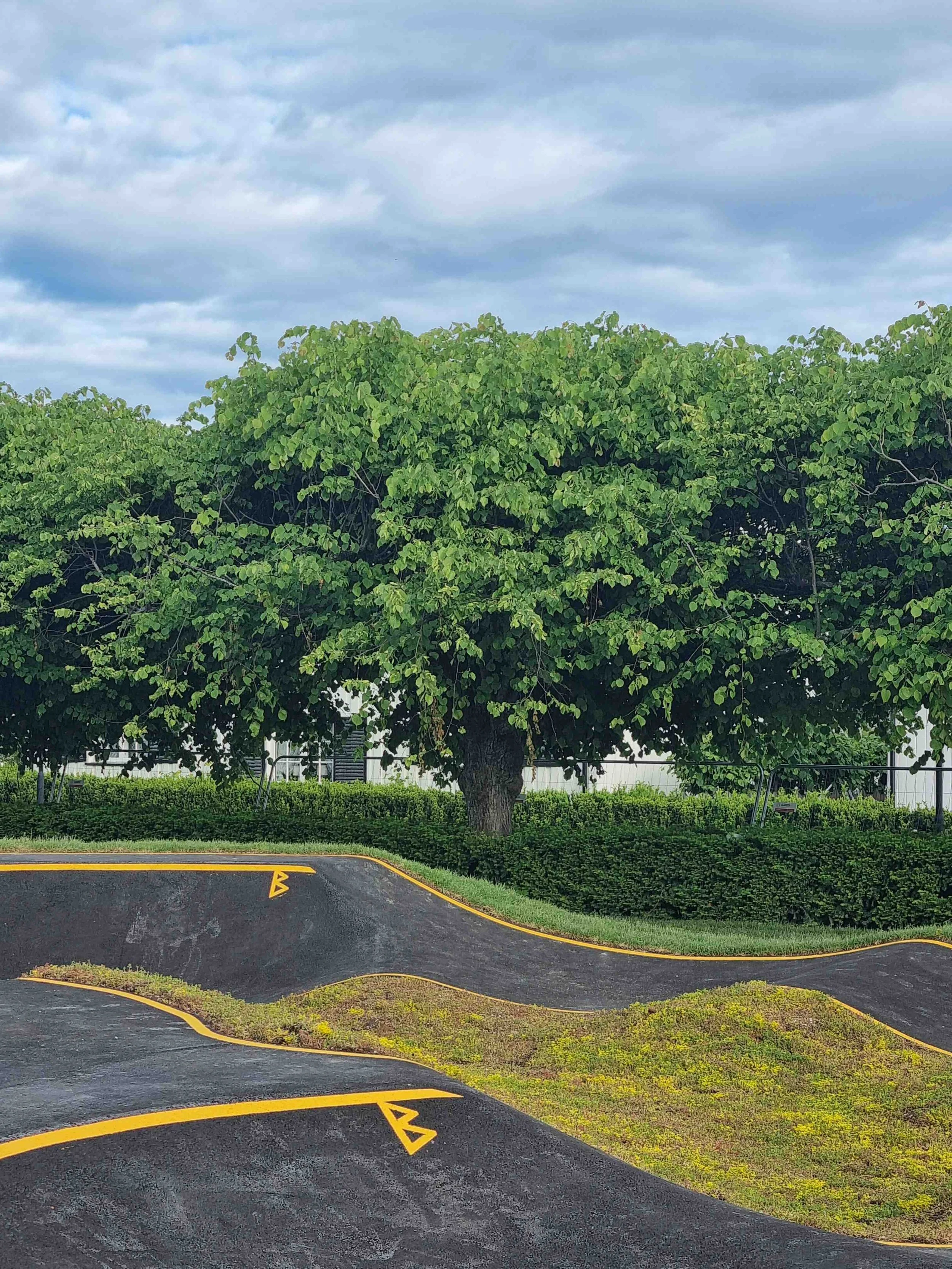 Hønefoss_pumptrack (18).jpg
