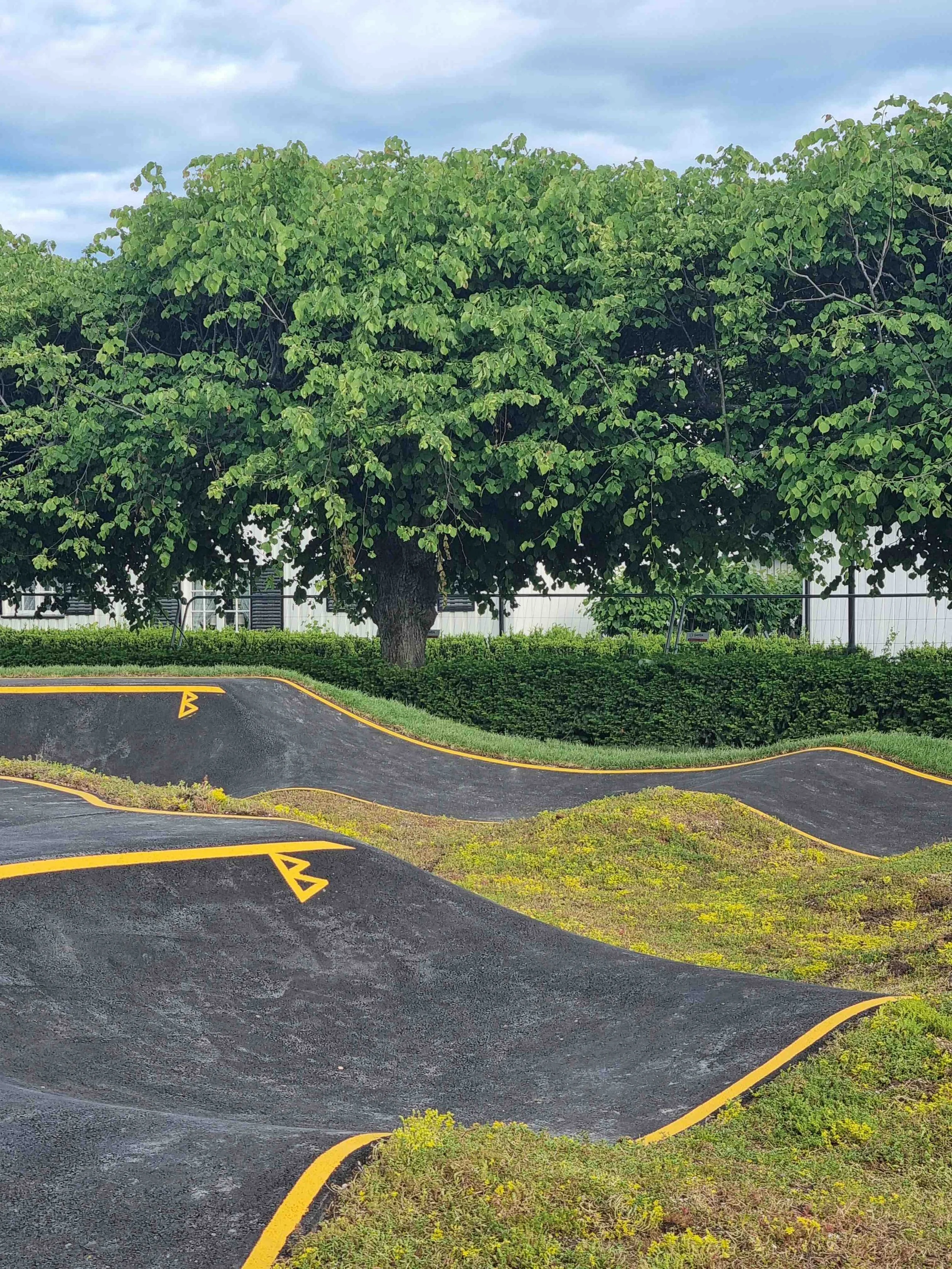 Hønefoss_pumptrack (19).jpg