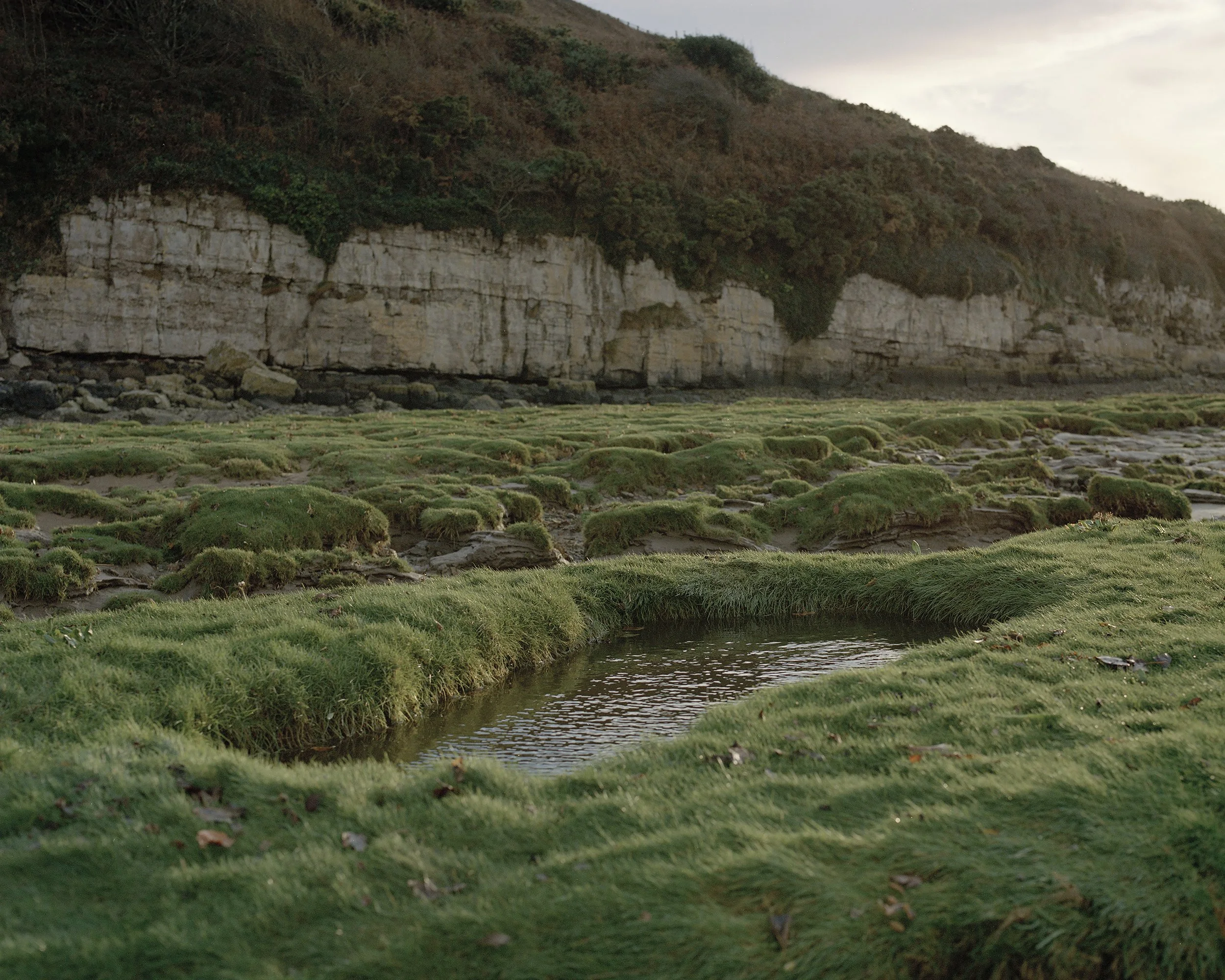 AndrewRoberts_Chorus_1.jpg