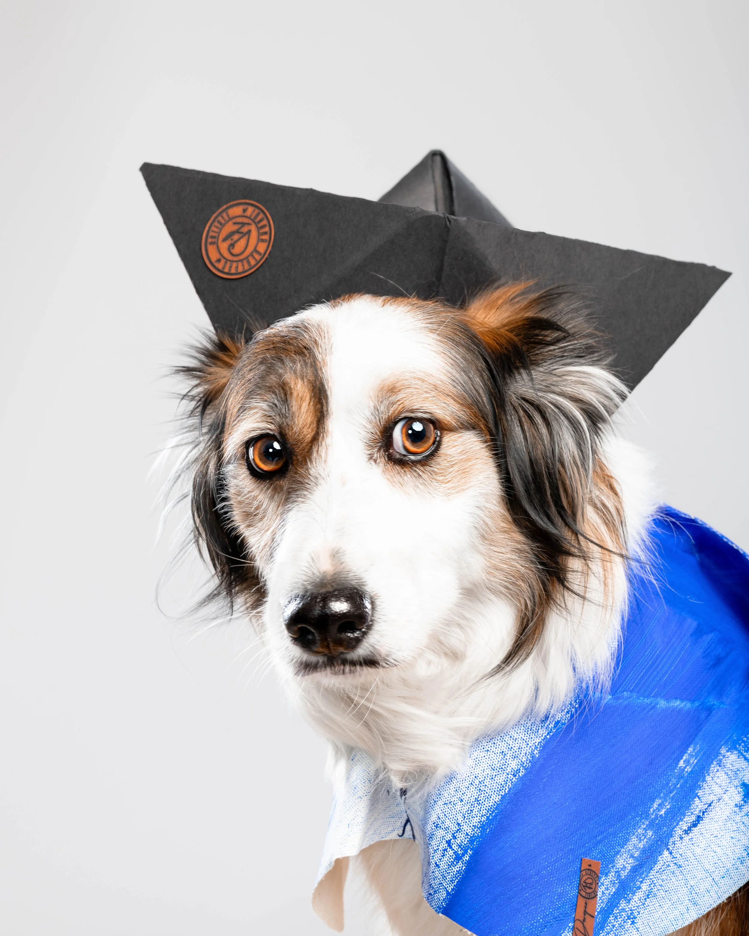 Neha_STUDIOWOUF_2025©Guillaume MédardDSC_9711-Modifier.jpg