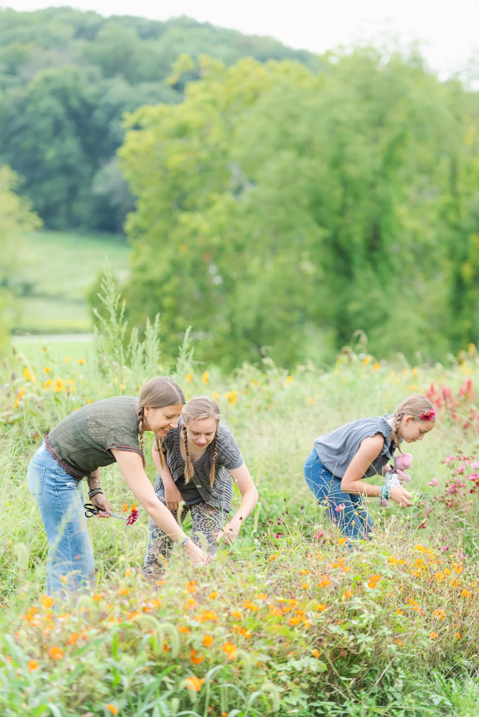Three women and a girl picking flowers in a lush green field with trees and hills in the background.