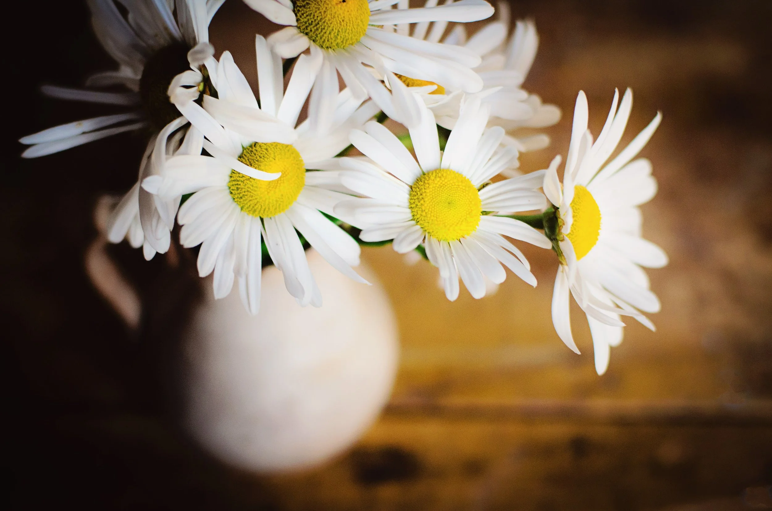 A white ceramic vase holding a bouquet of white daisies with yellow centers on a wooden surface.