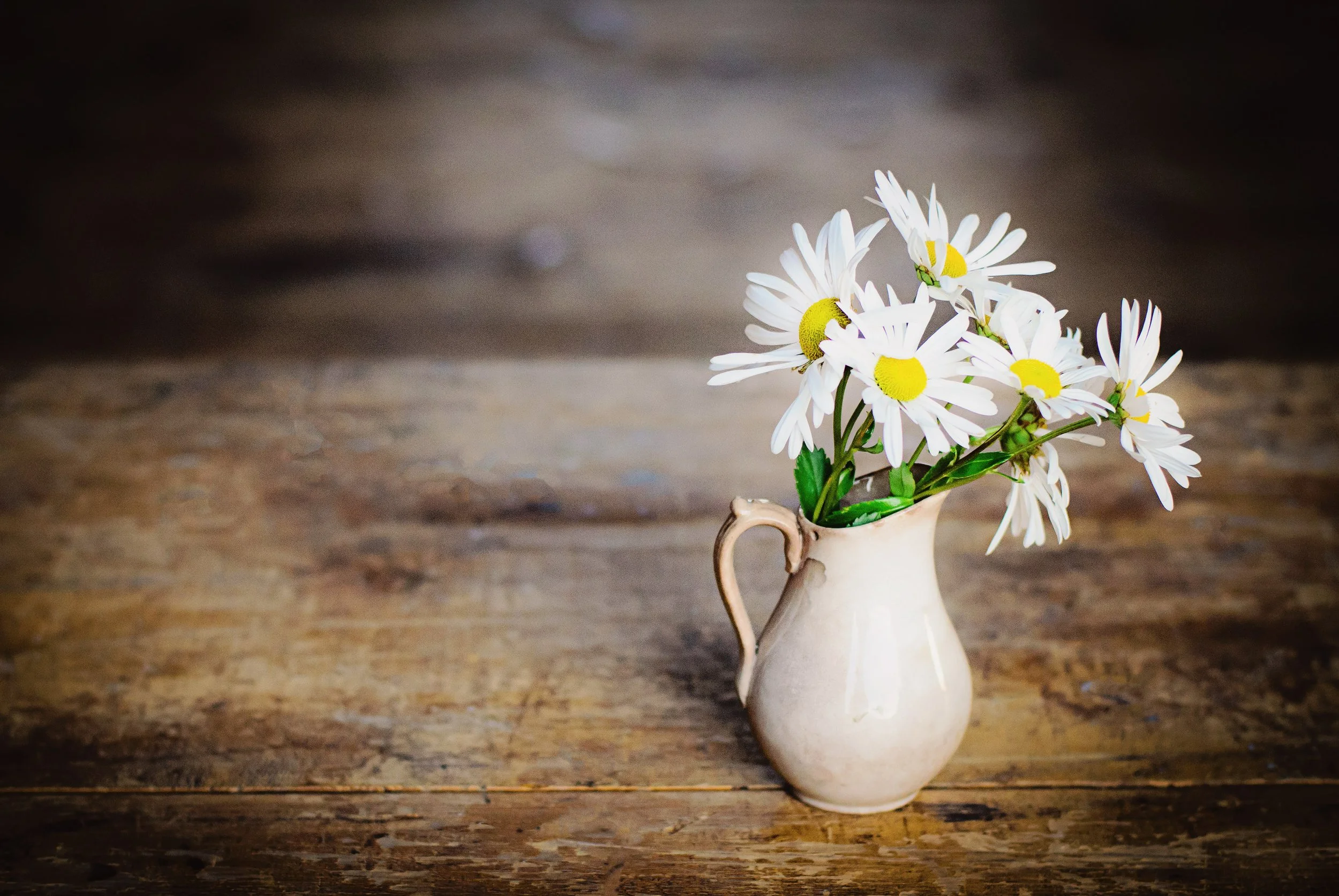 A beige ceramic pitcher holding a bouquet of white daisies with yellow centers, placed on a rustic wooden surface with a dark, blurred background.