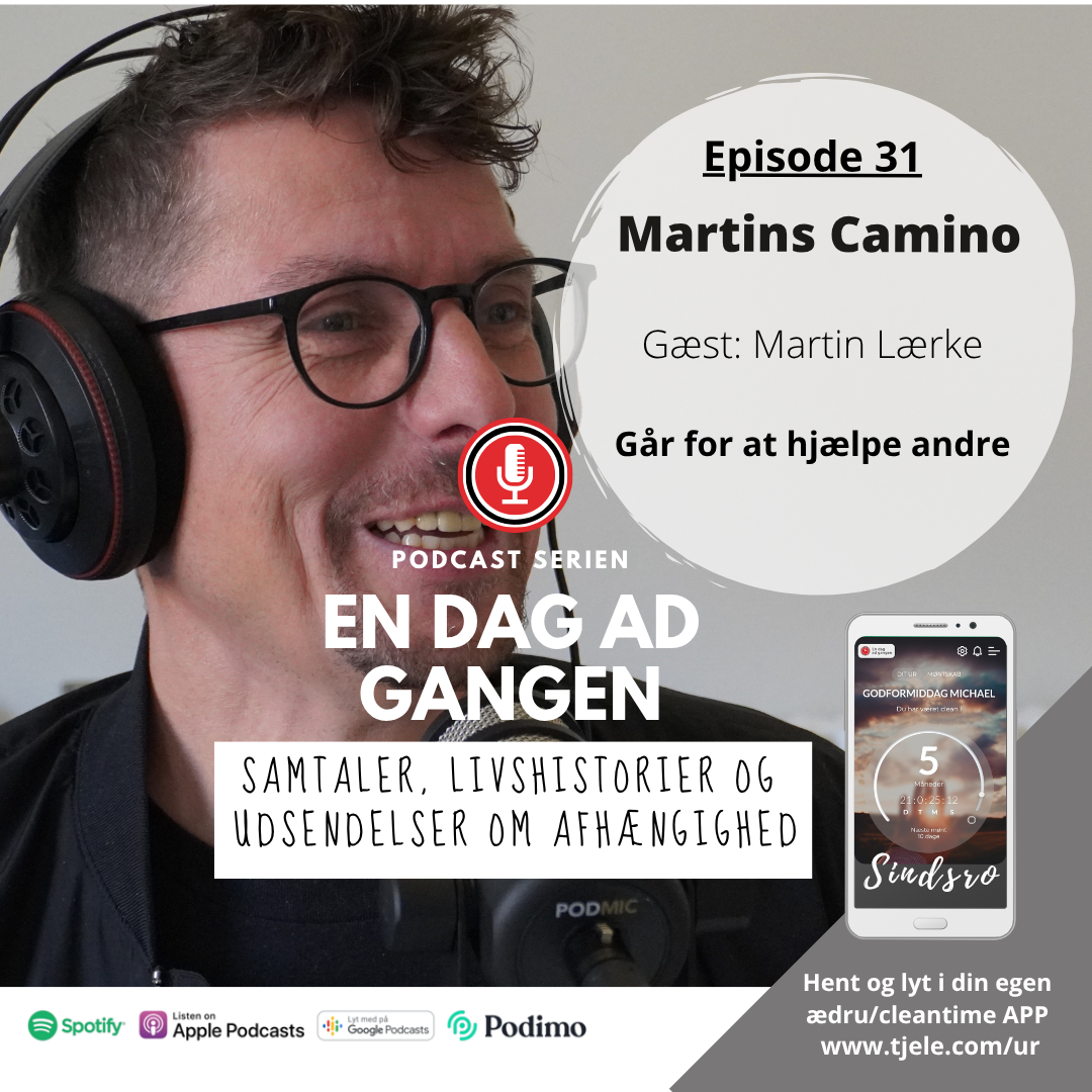 31. Martins camino