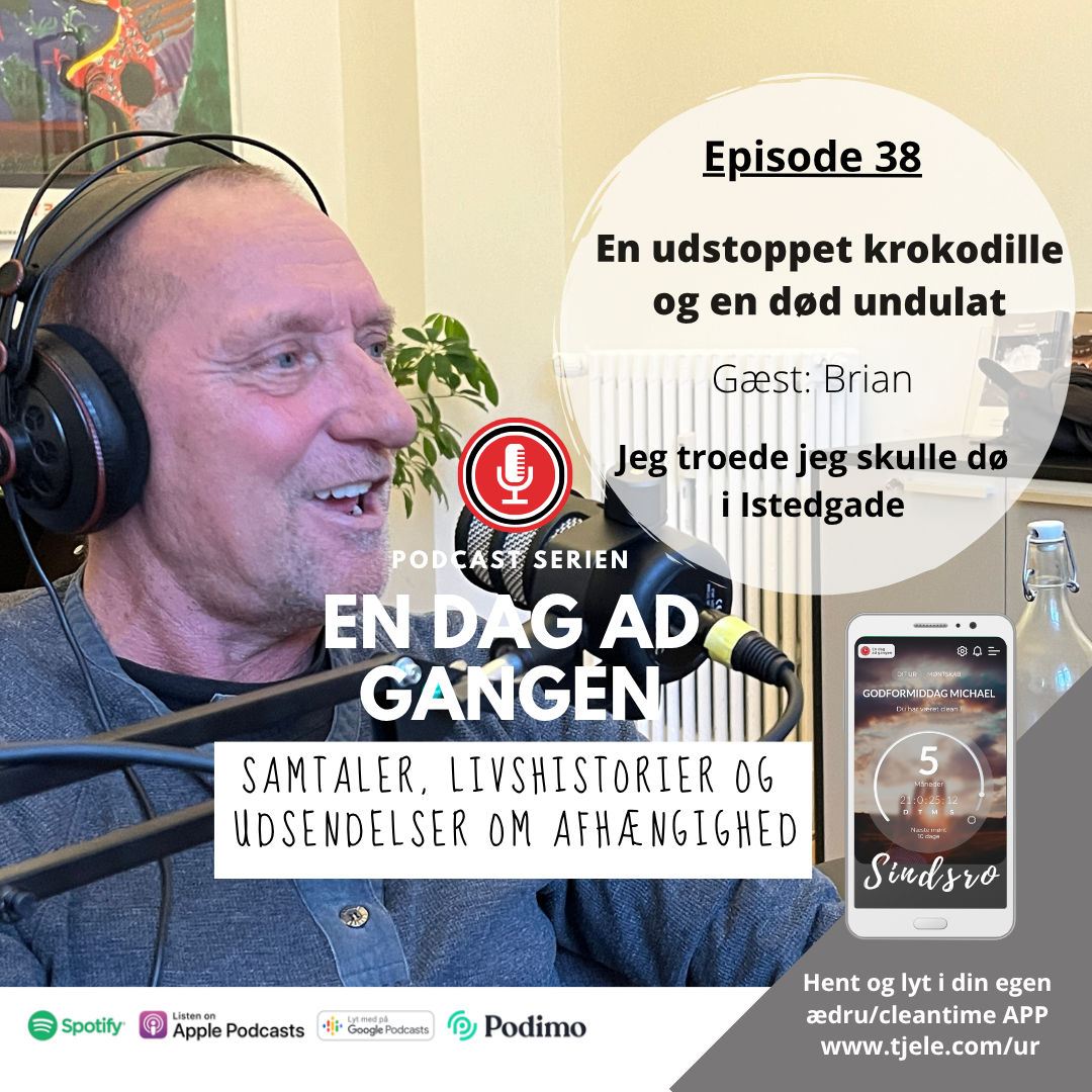 38. En udstoppet krokodille og en død undulat