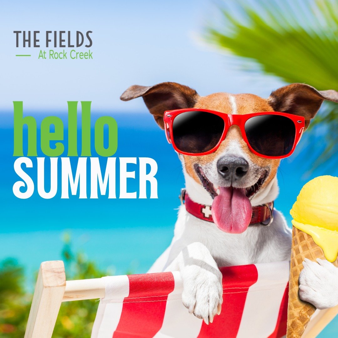 New season, new pet-friendly home. Hello, summer magic! ✨🌻

#summer #hellosummer #welcomesummer #petfriendly #residents #fieldsrockcreek #frederickmd #maryland #frederickmdrealestate