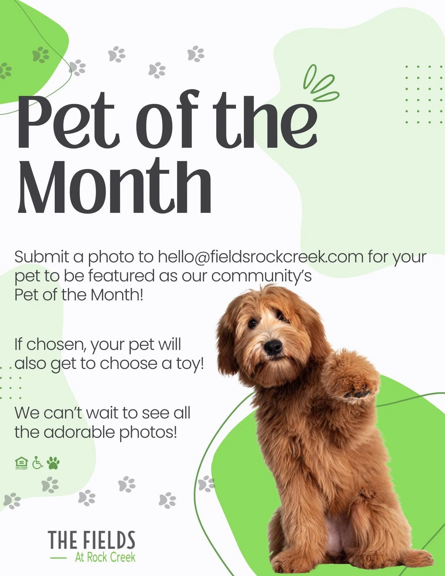 Calling The Fields at Rock Creek pet paw-rents! 🐶 🐱🐩😸

Send your pet photo to hello@fieldsrockcreek.com for a chance to have them featured as The Fields at Rock Creek's Pet of the Month. If chosen, your pet will also get to choose a toy! Be sure 