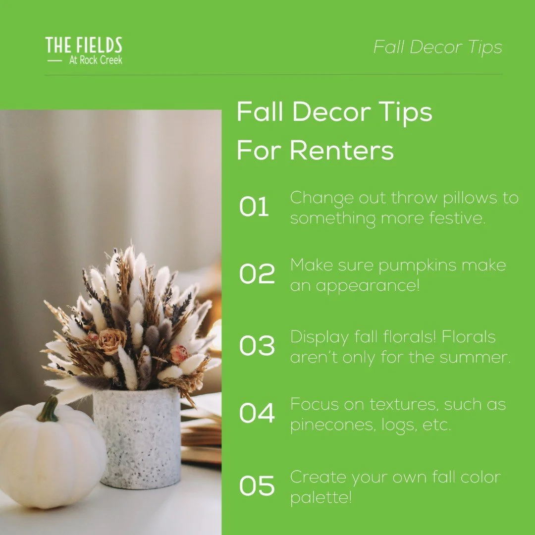 Warning: May cause extreme coziness 🍂🔥 Apartment-friendly fall decor tips!

#falldecor #fallvibes #autumnvibes #apartmentfriendlydecor #apartmentgoals #fieldsrockcreek #frederickmd #maryland #frederickmdrealestate