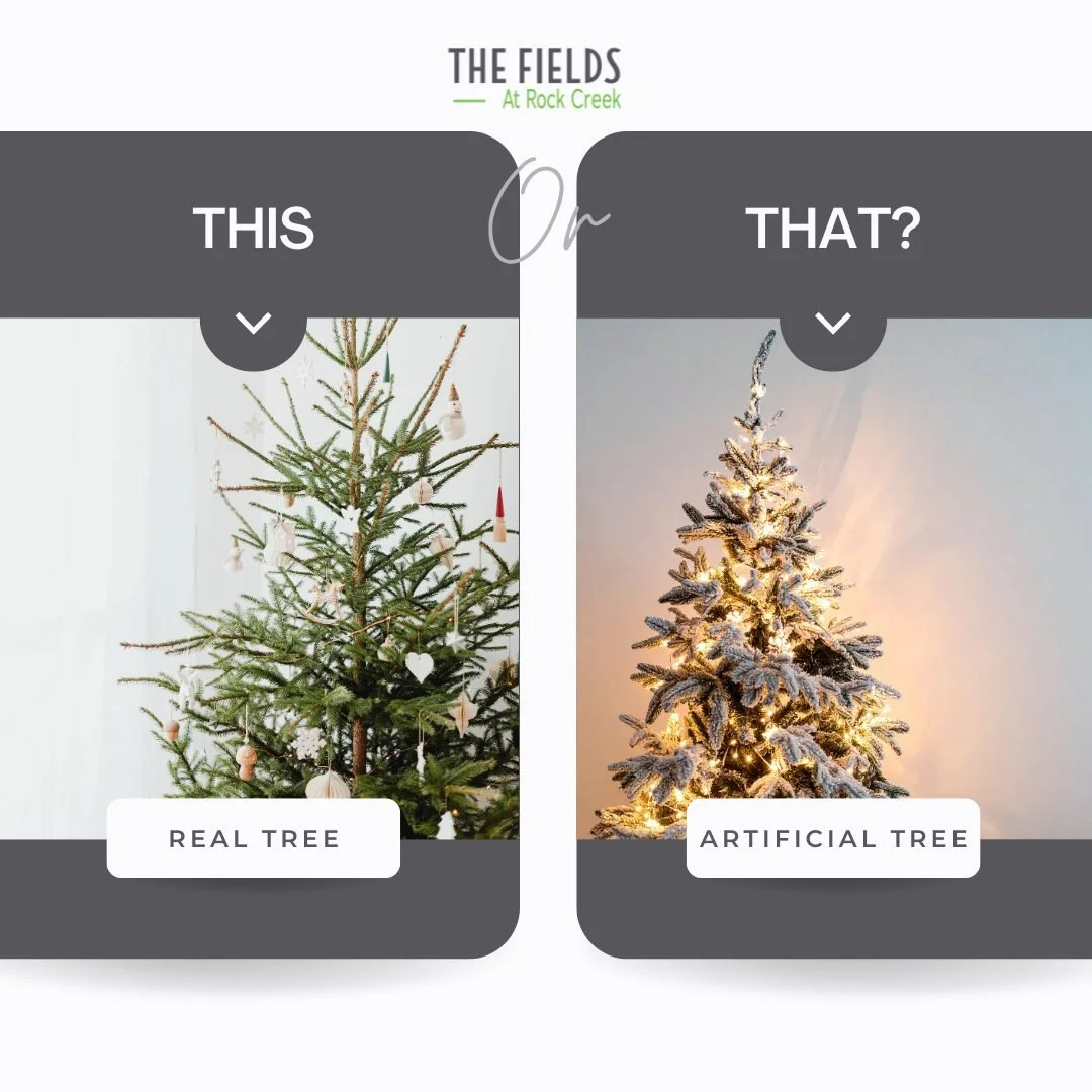 We want to know how our residents celebrate! 🌲
Do you go real tree, artificial tree, or somewhere in between?

#realtree #artificialtree #winterseason #fieldsrockcreek #frederickmd #maryland #frederickmdrealestate