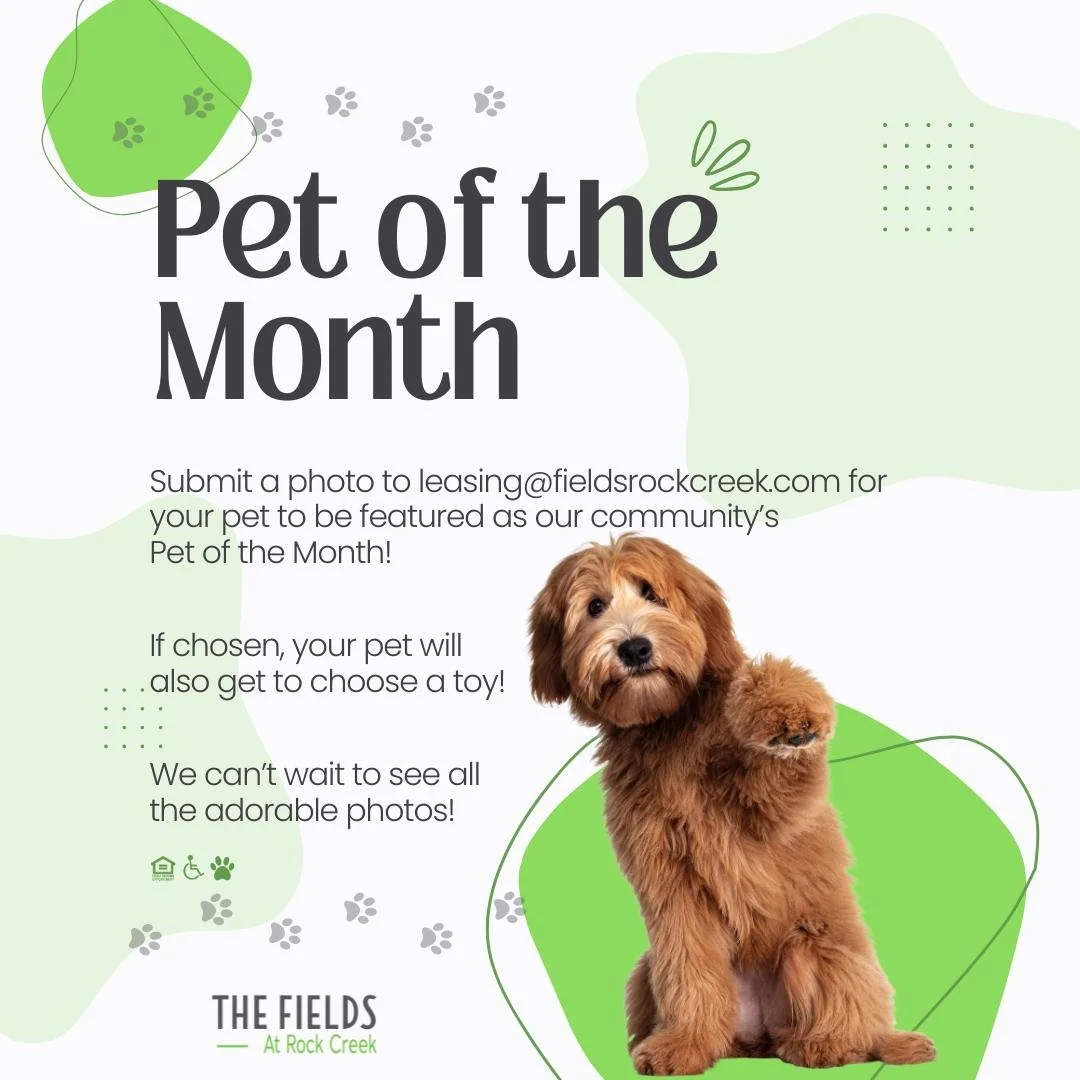 Calling The Fields at Rock Creek pet paw-rents! 🐶 🐱🐩😸

Send your pet photo to leasing@fieldsrockcreek.com for a chance to have them featured as The Fields at Rock Creek's Pet of the Month. If chosen, your pet will also get to choose a toy! Be sur