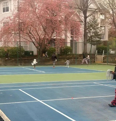 Good vibes, great company, and even better memories. 🎈Check out photos from our April event! This is what apartment living is all about!

#FieldsAtRockCreek #CommunityLiving #FrederickMD #ApartmentLife #ResidentEvents #SpringVibes #LifeAtTheFields #
