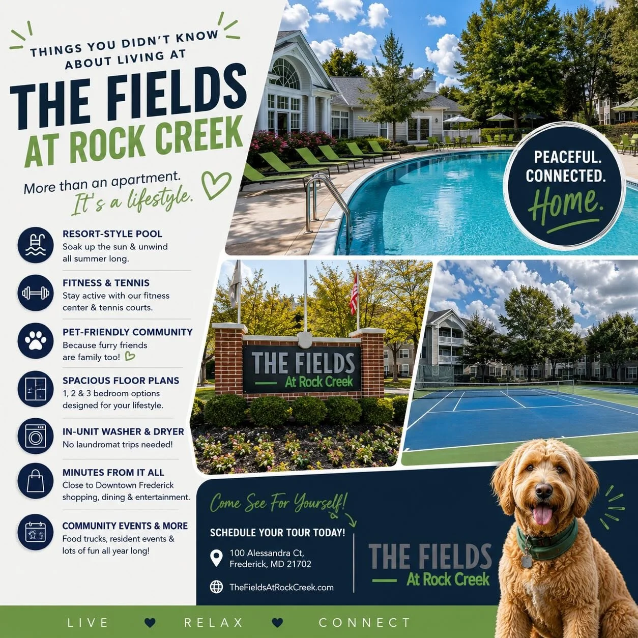 **Apartment hunting, but make it a glow-up.**

At The Fields at Rock Creek, it&rsquo;s not just about finding a place to live it&rsquo;s about finding a place that has *main character energy*.

Resort-style pool? Check.
Fitness center and tennis cour