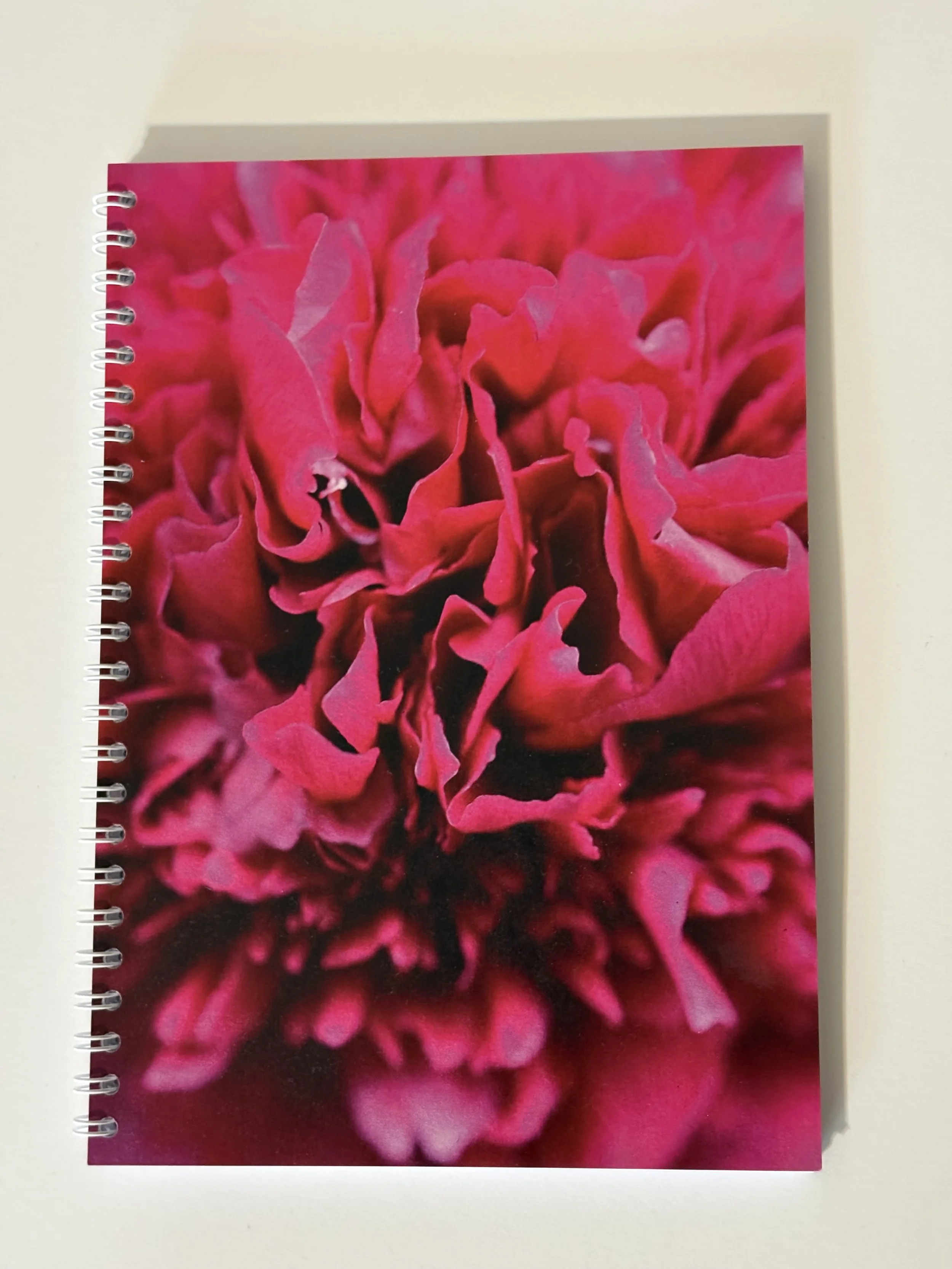 IMG_3870.jpeg