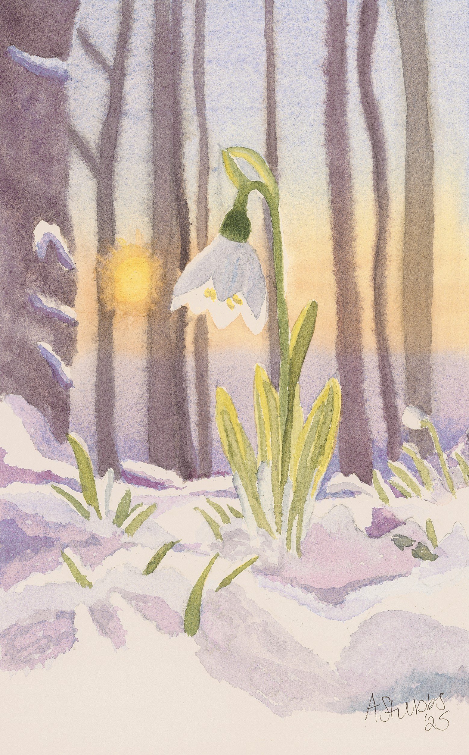 Snowdrop in Winter Forest / Botanical Watercolour by Anna Stubbs
This serene watercolour by UK artist Anna Stubbs captures a single snowdrop emerging from snow covered ground beneath a soft winter sky. A peaceful, symbolic painting of hope and rene