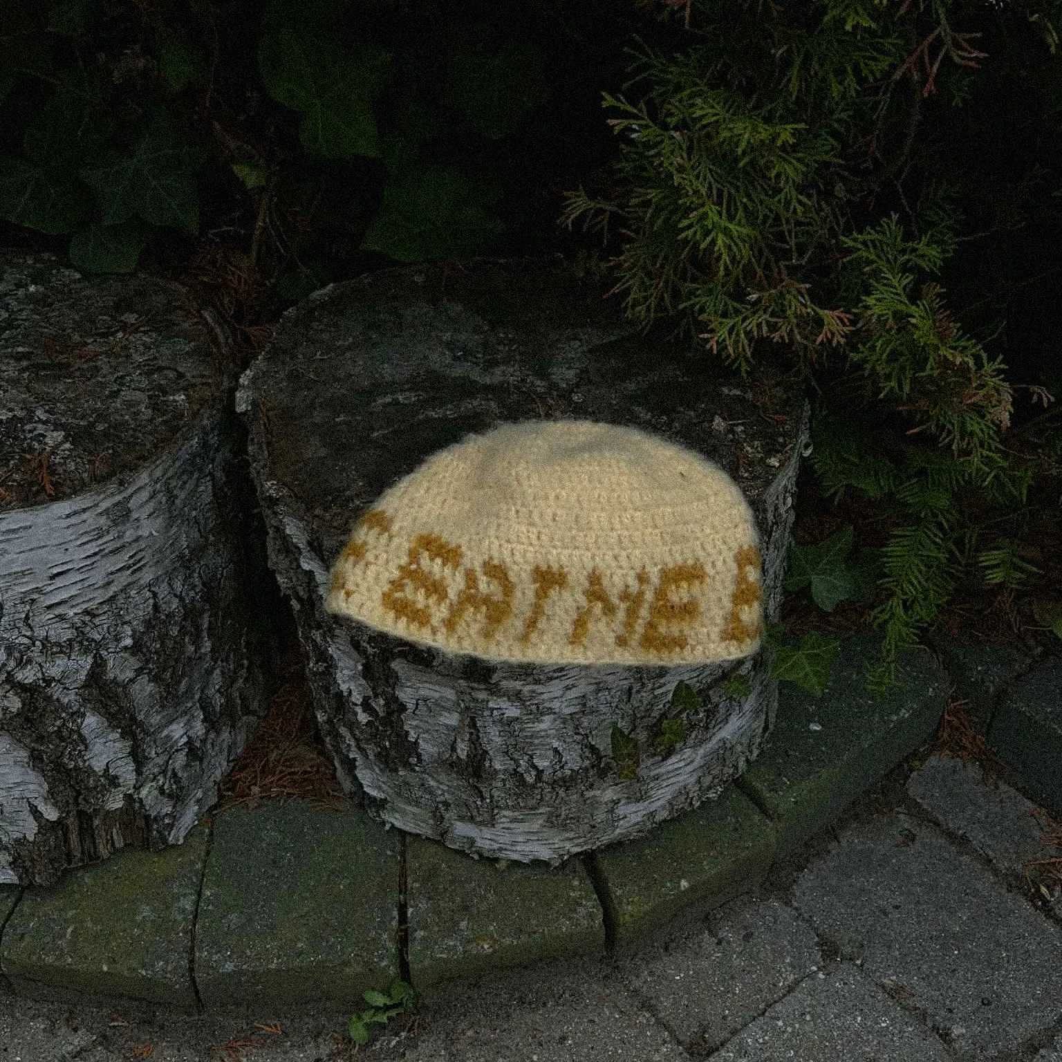 att.faeJu3Jcx0JpkRicSTOWo_g8SRWdQwWLduCkwQXr8Ls (kopia).JPG