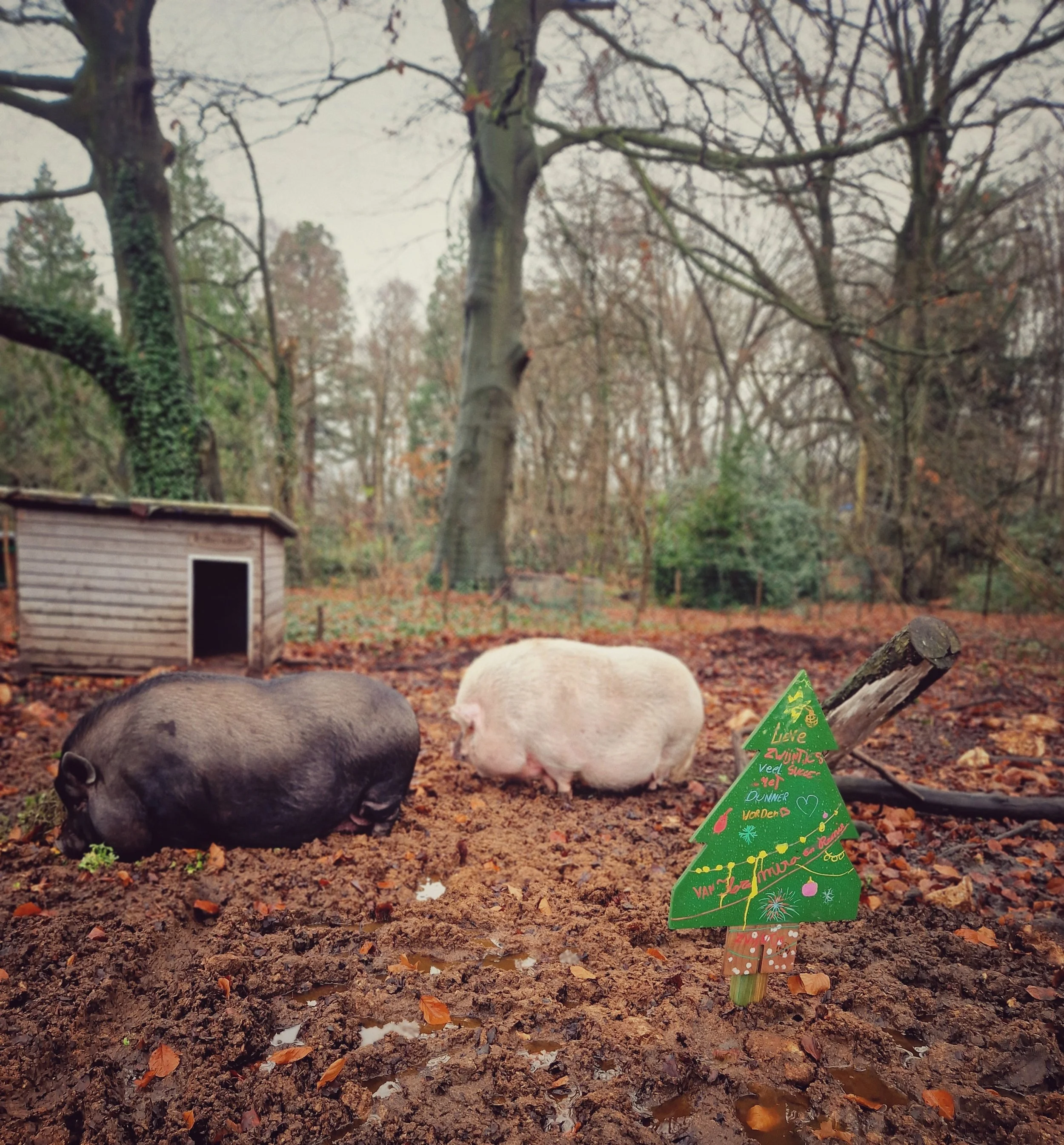 kerst zaklien en zeetje