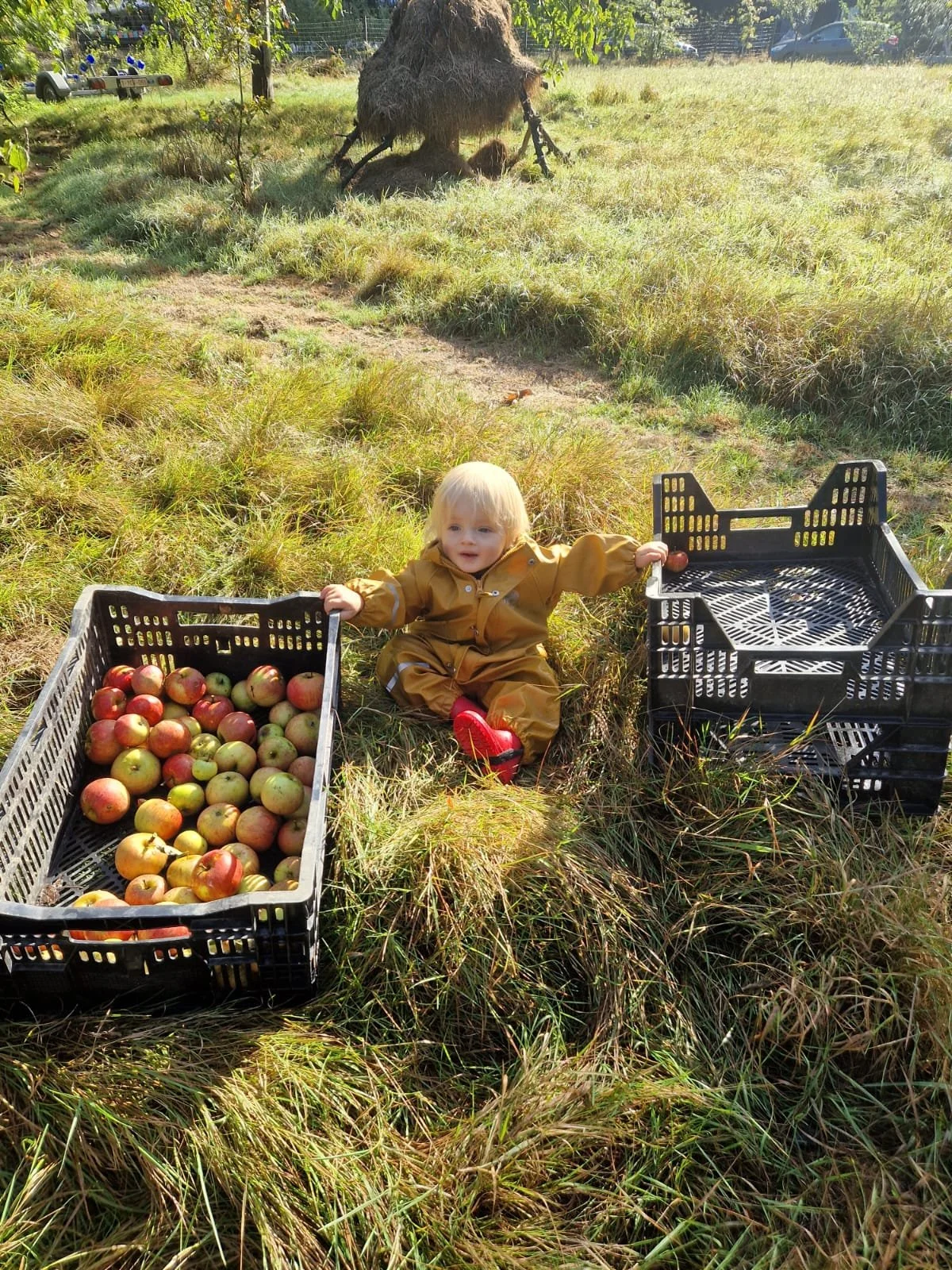 WhatsApp Image 2025-10-05 at 09.53.06 (1).jpeg