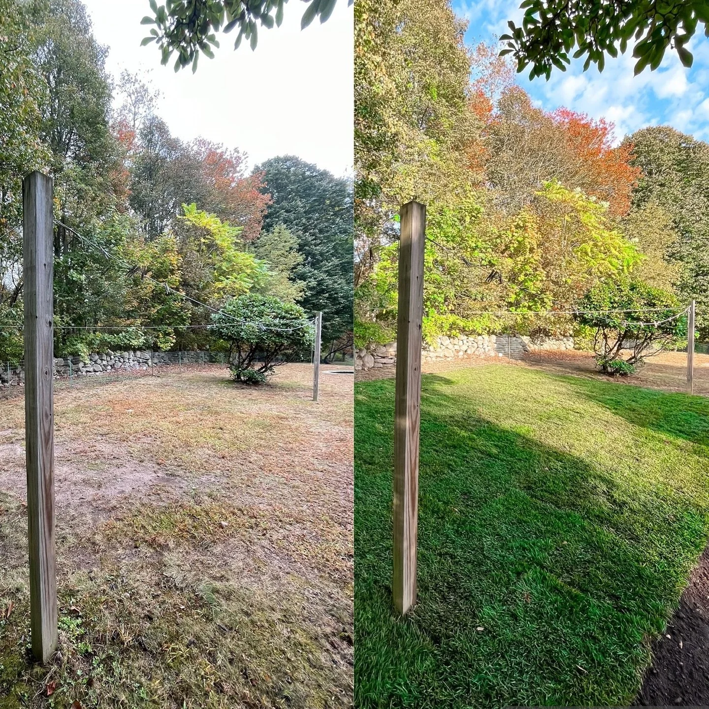 Before and after of a #sodinstallation for a client who wanted a more relaxing, zen experience while hanging laundry on her clothesline. The area was uneven, compacted, and taken over by crabgrass and other undesirable weeds. After digging, leveling 