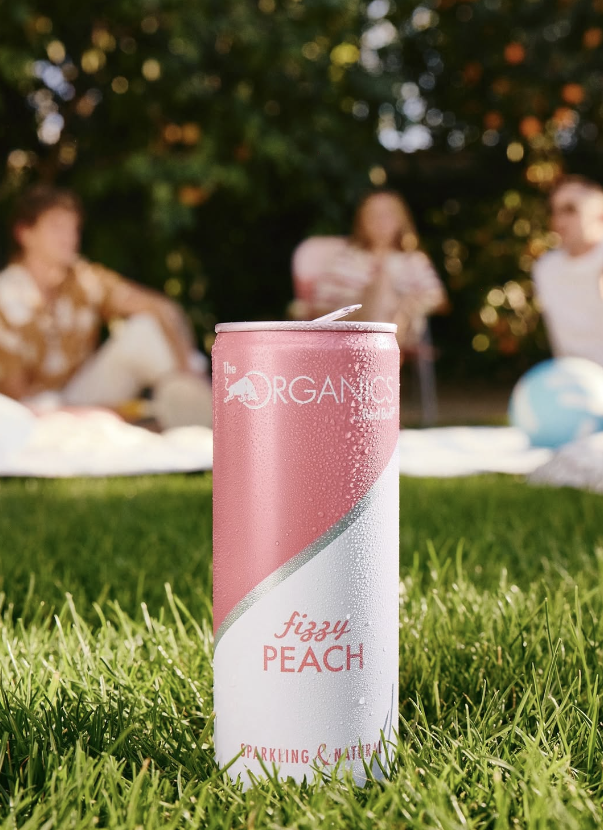 Screenshot 2026-04-17 at 12.23.58 PM.png