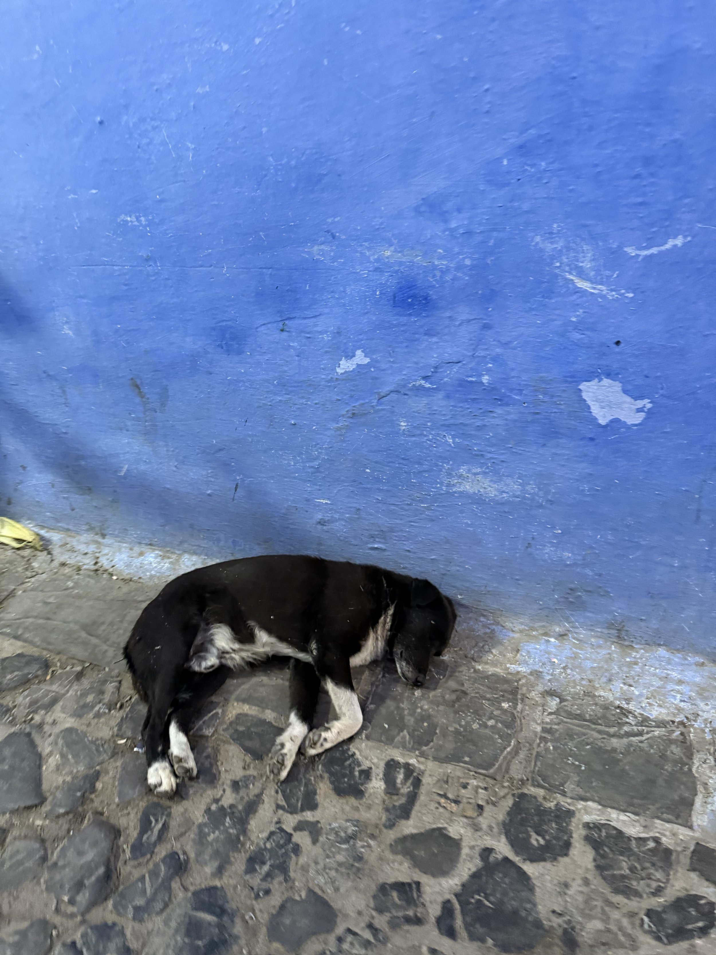 IMG_0634.jpeg