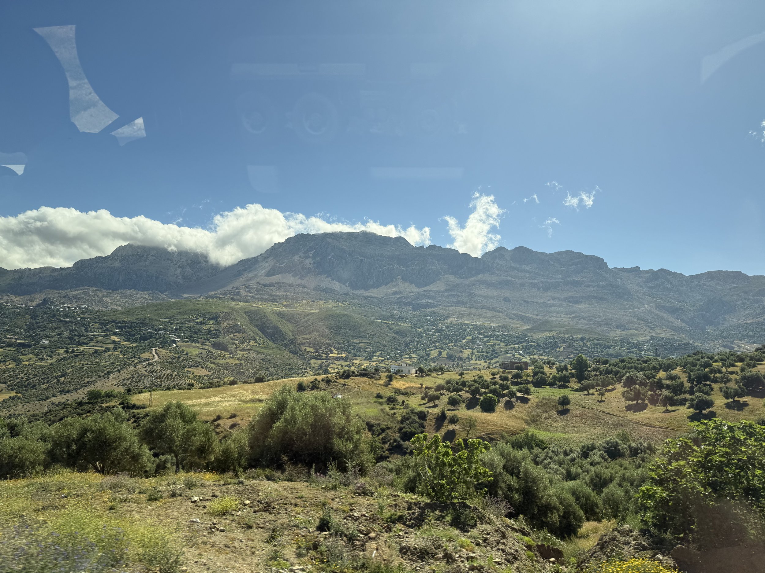 IMG_5333.jpeg
