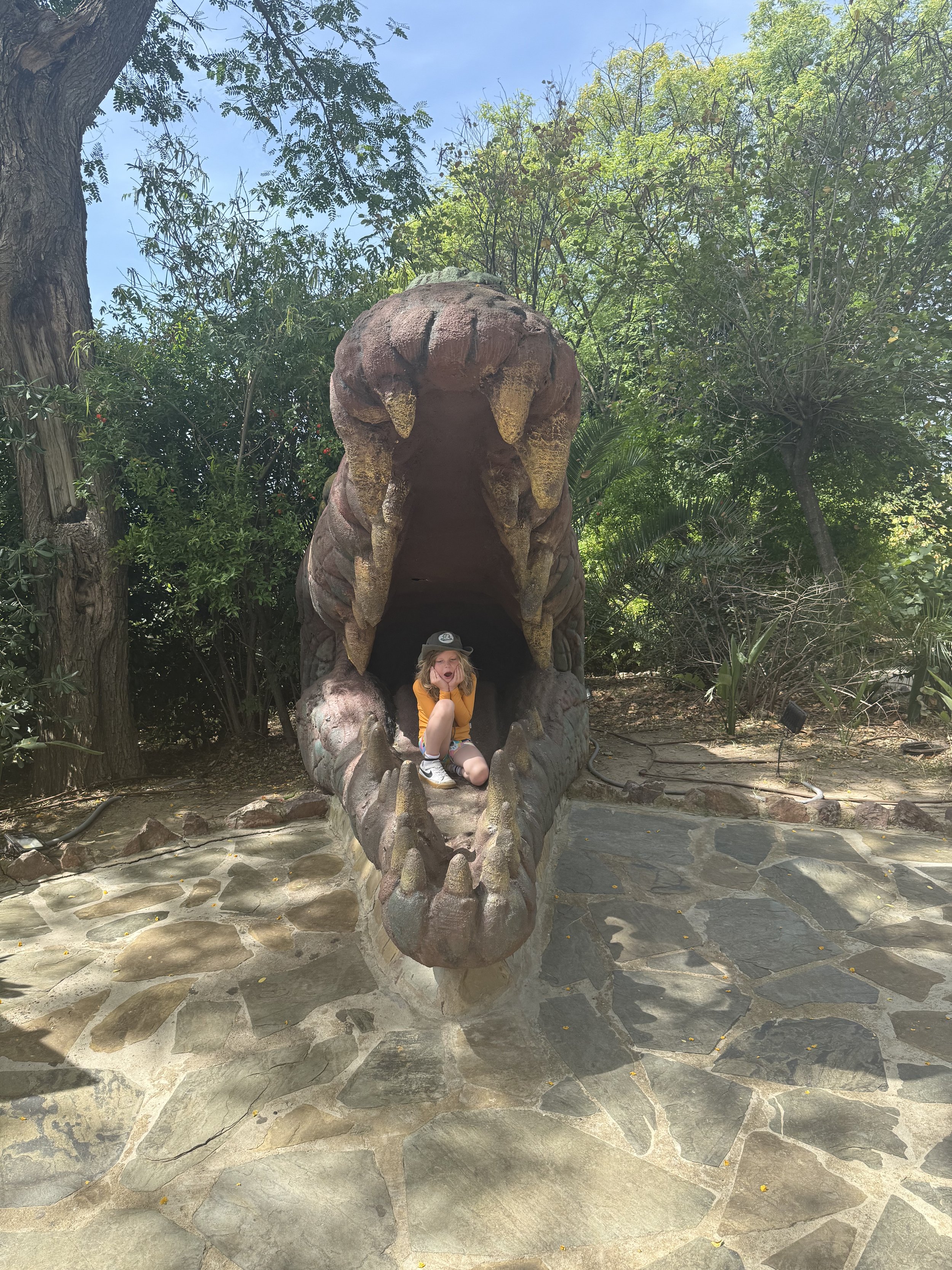 IMG_1128.jpeg