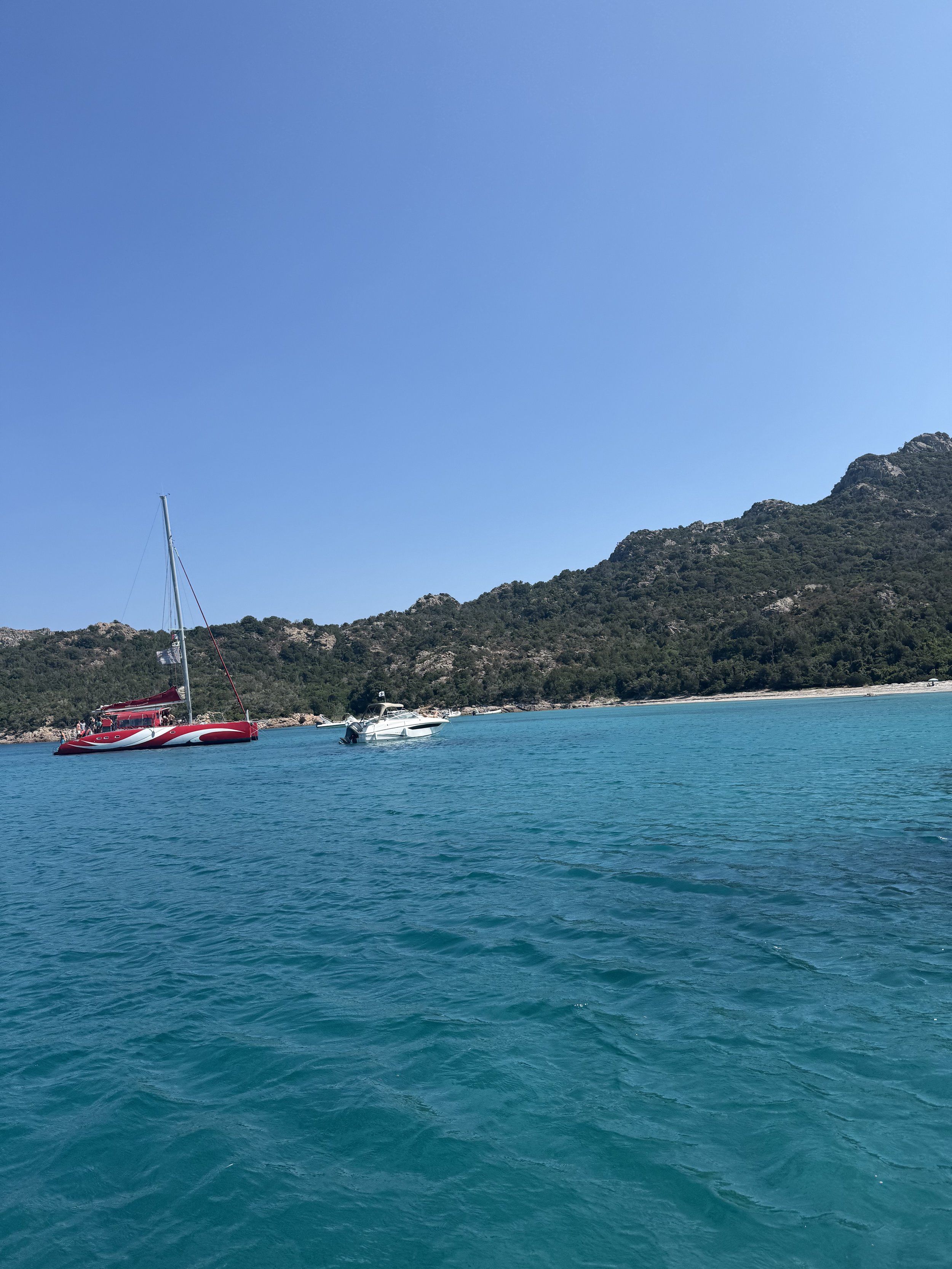 IMG_2310.jpeg